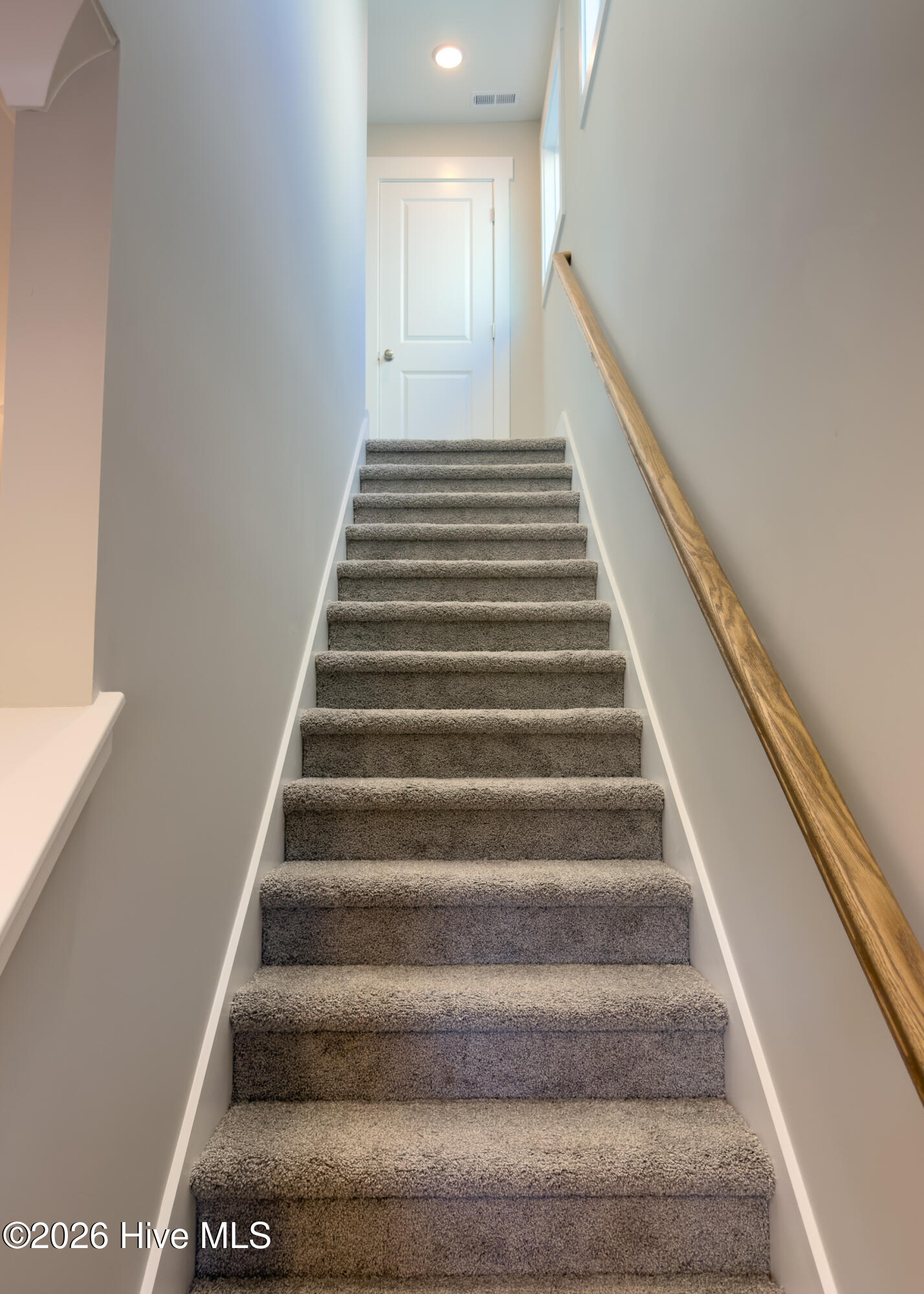 100558991 | Photo 20