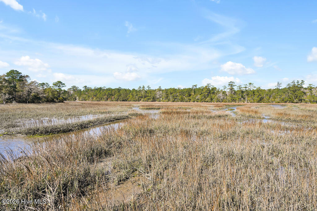 100564190 | Photo 76