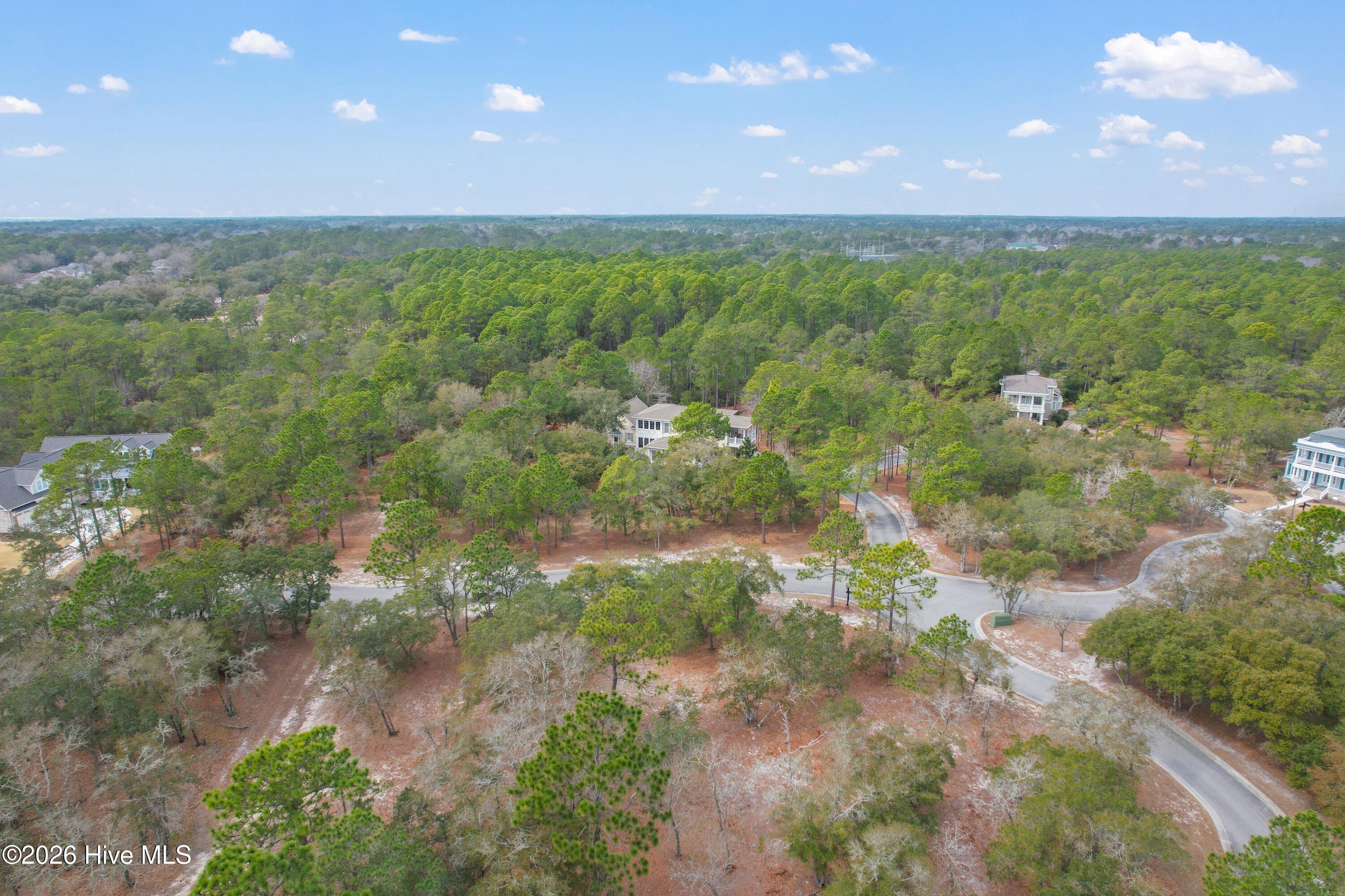 100548259 | Photo 12