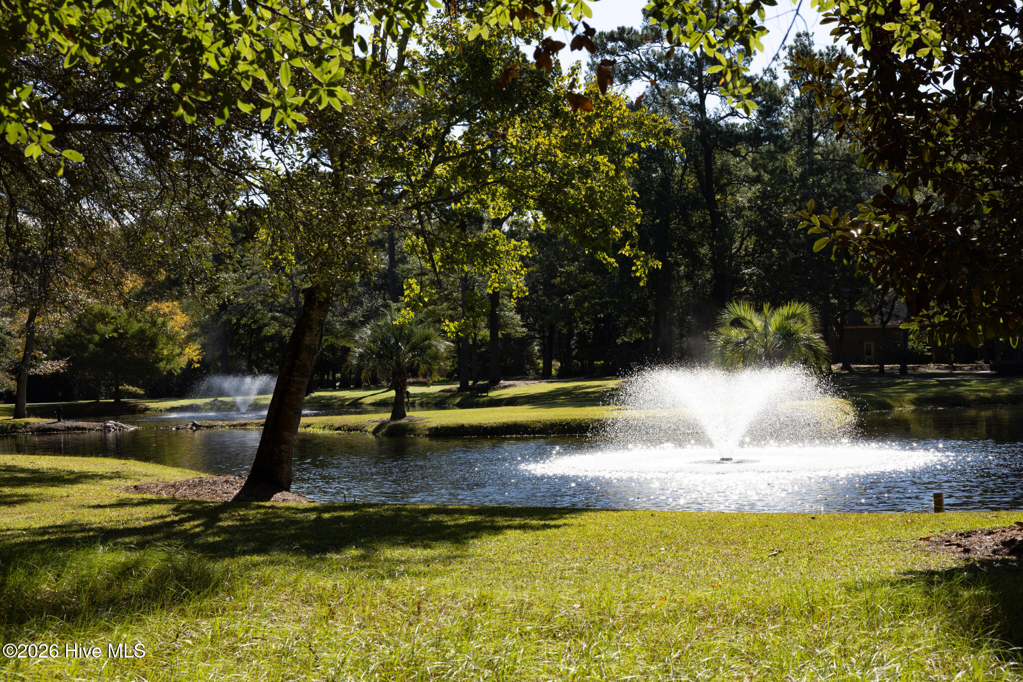 100547125 | Photo 40