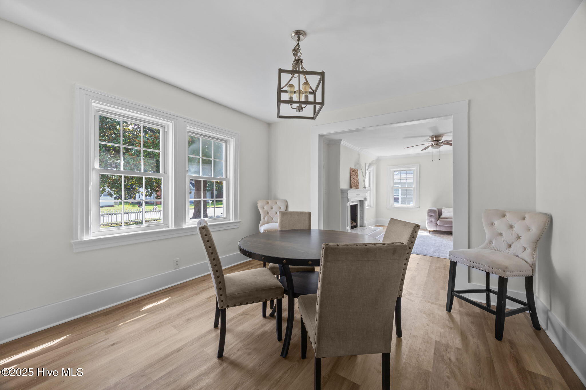 100520043 | Photo 15