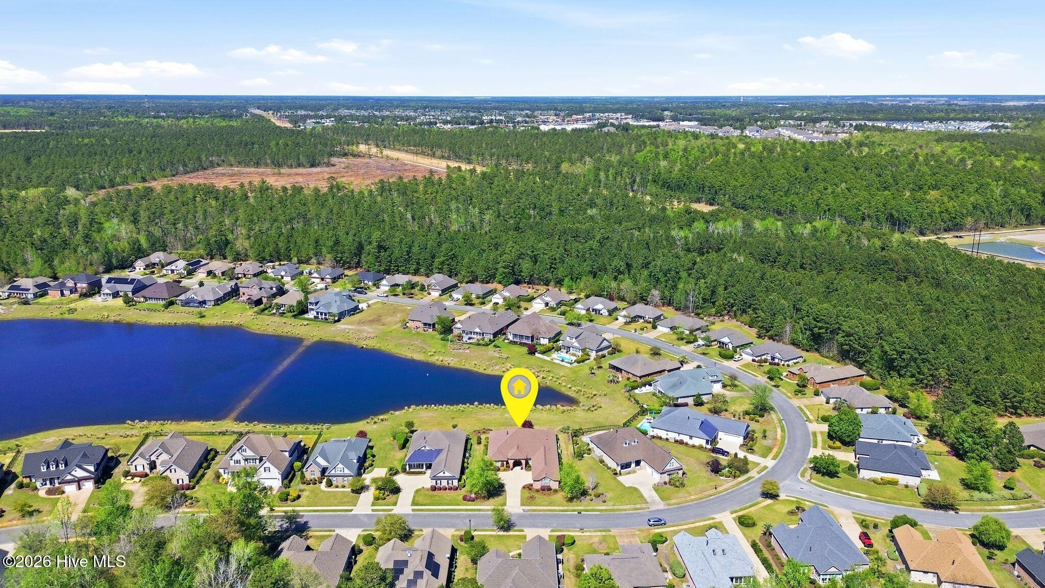 100565235 | Photo 90