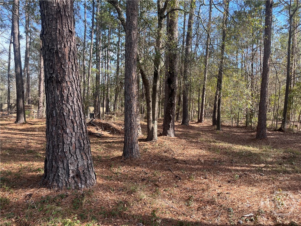 Homes for sale in Bloomingdale, GA | 157 John Carter Rd, Bloomingdale, GA 31302 | MLS# SA347978