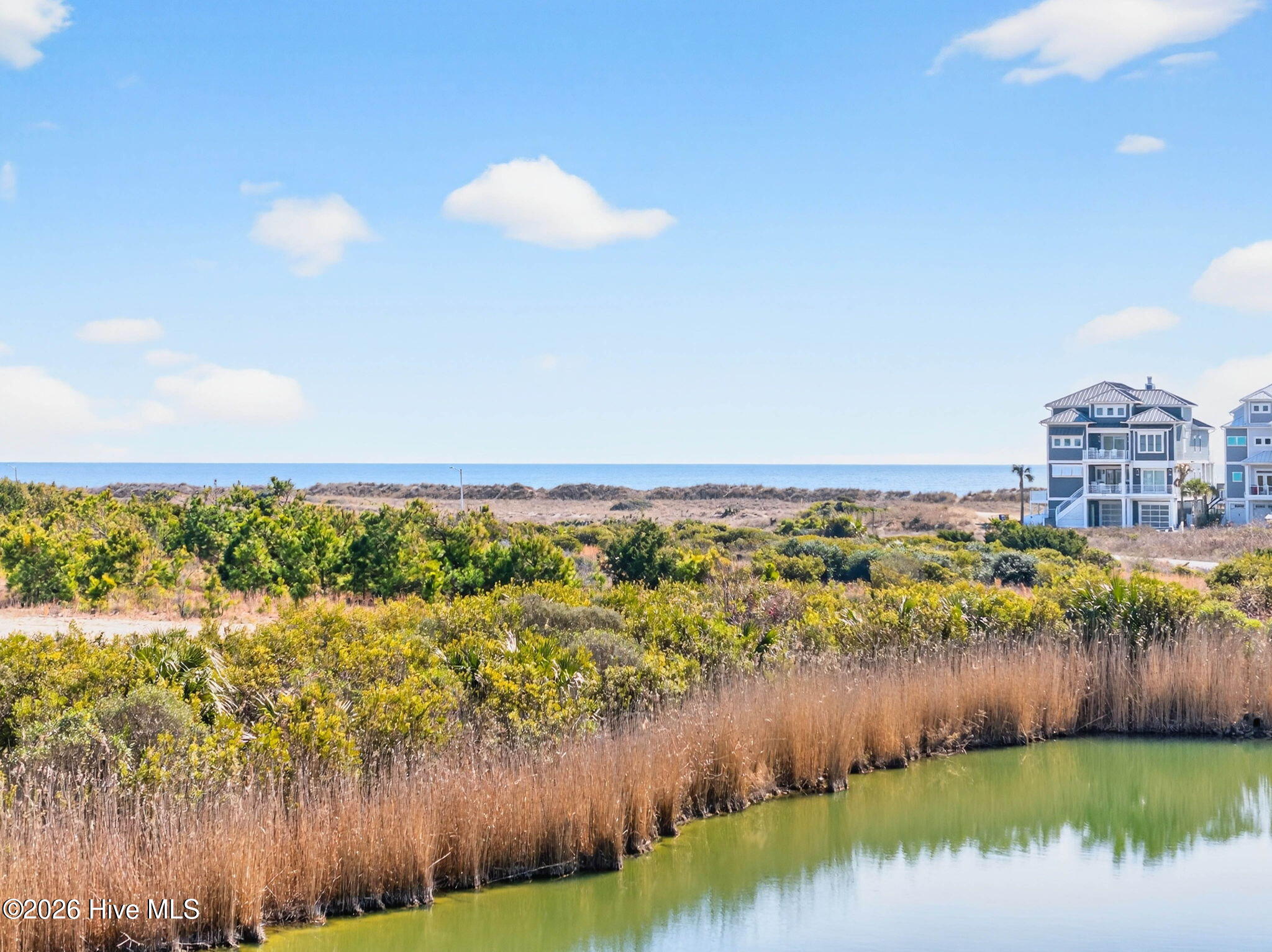 100555229 | Photo 52