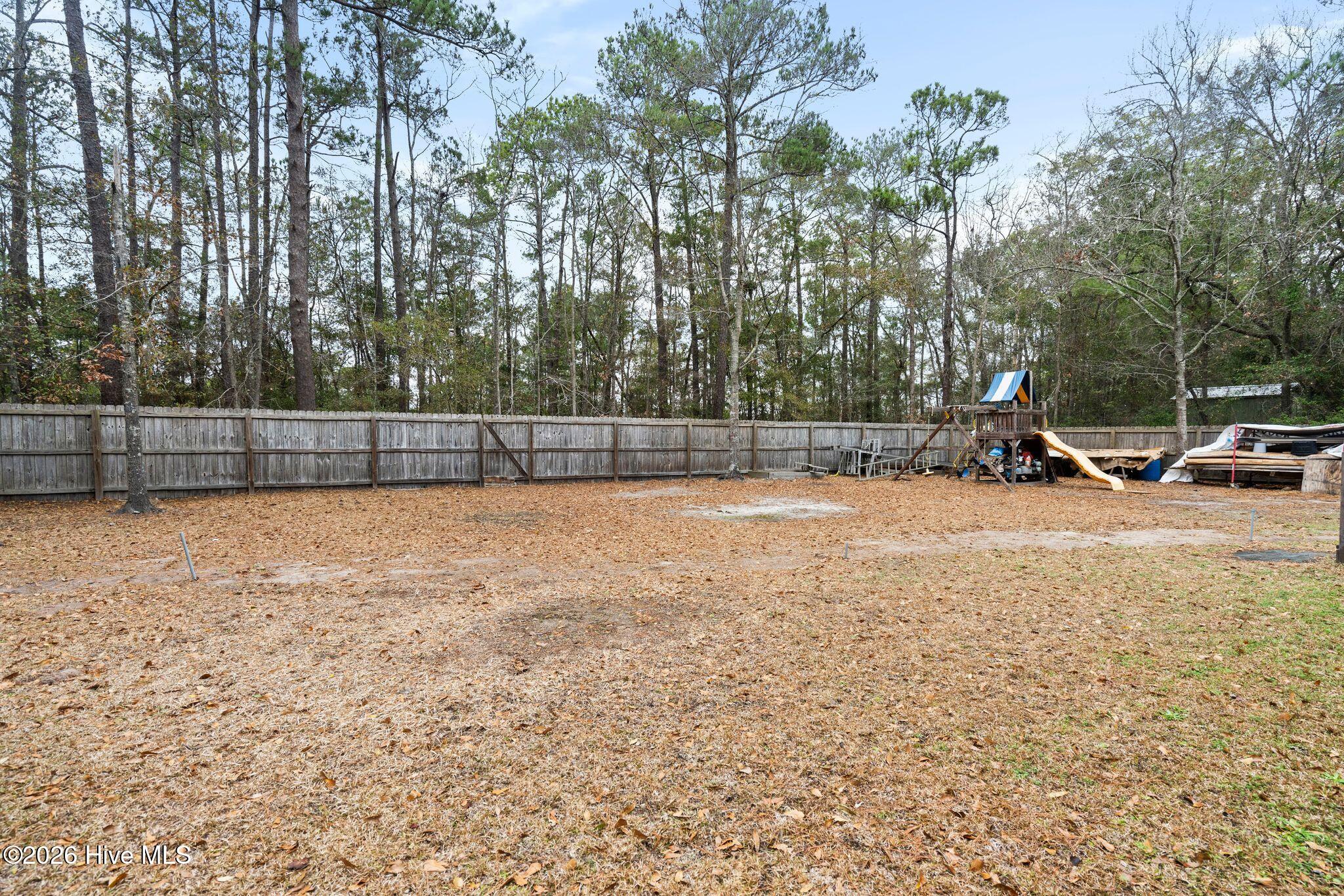 100558385 | Photo 46