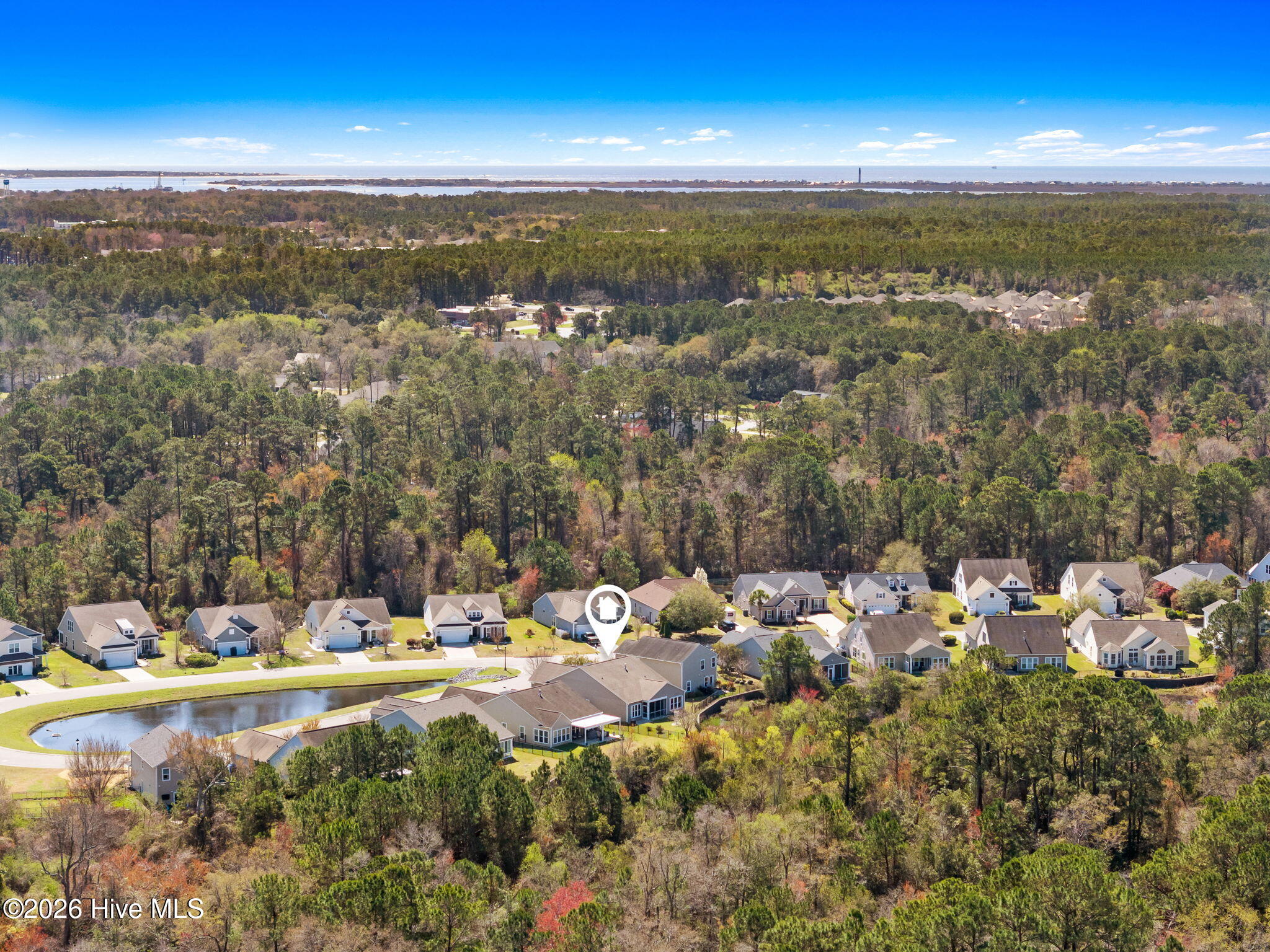 100561861 | Photo 49