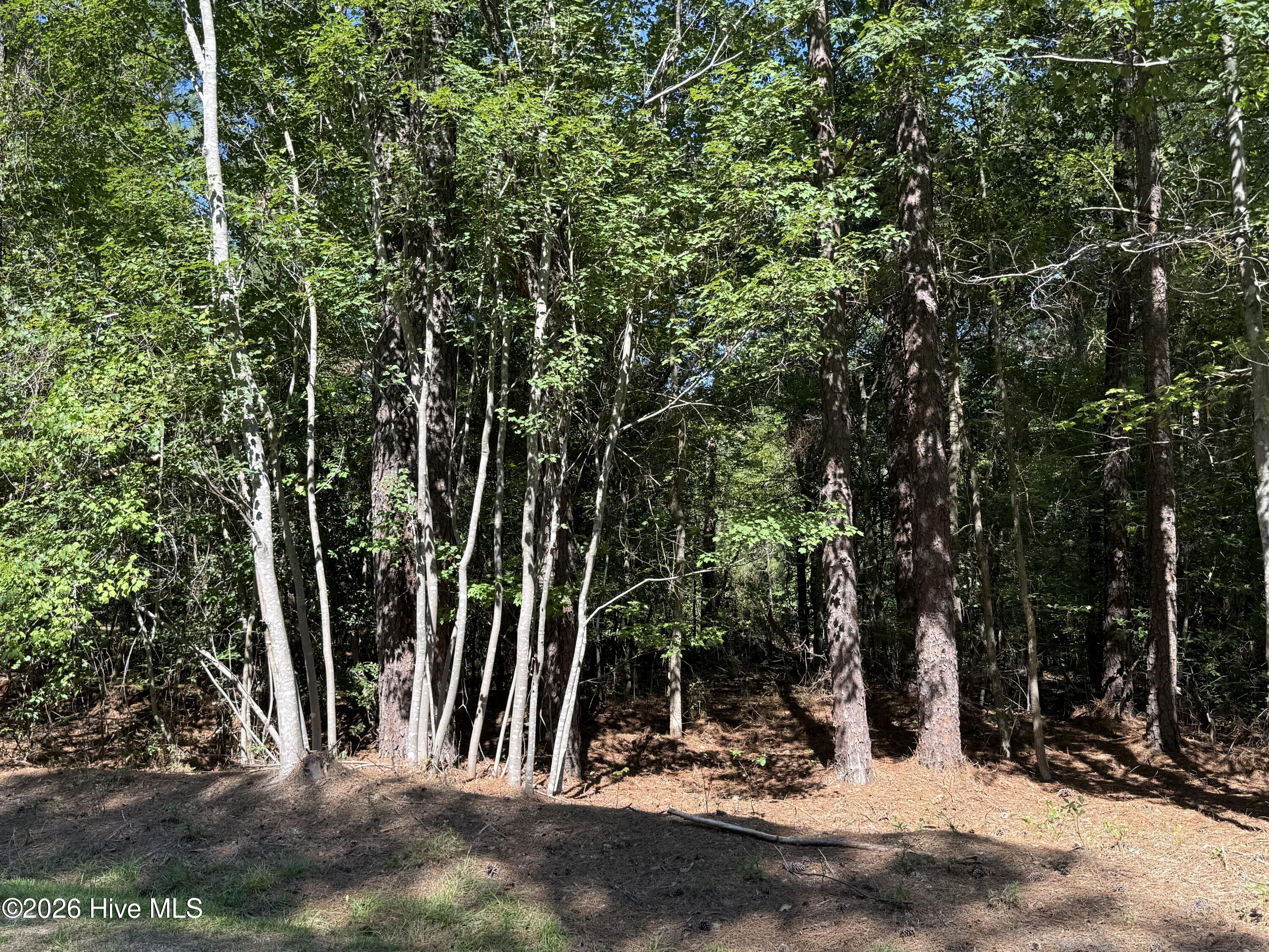3rd image of 7657 Main St, West End, NC 27376 | MLS# 100598896