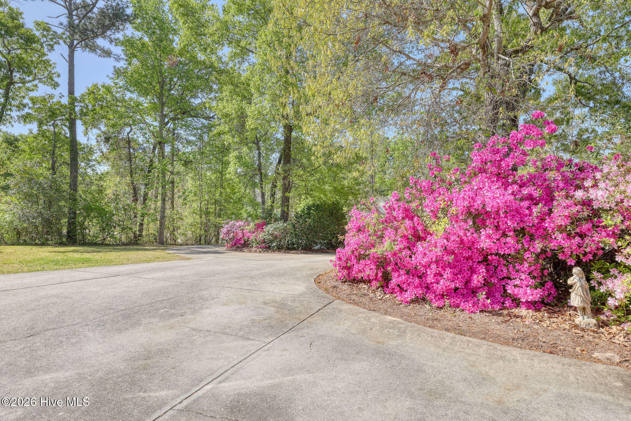 100565672 | Photo 61