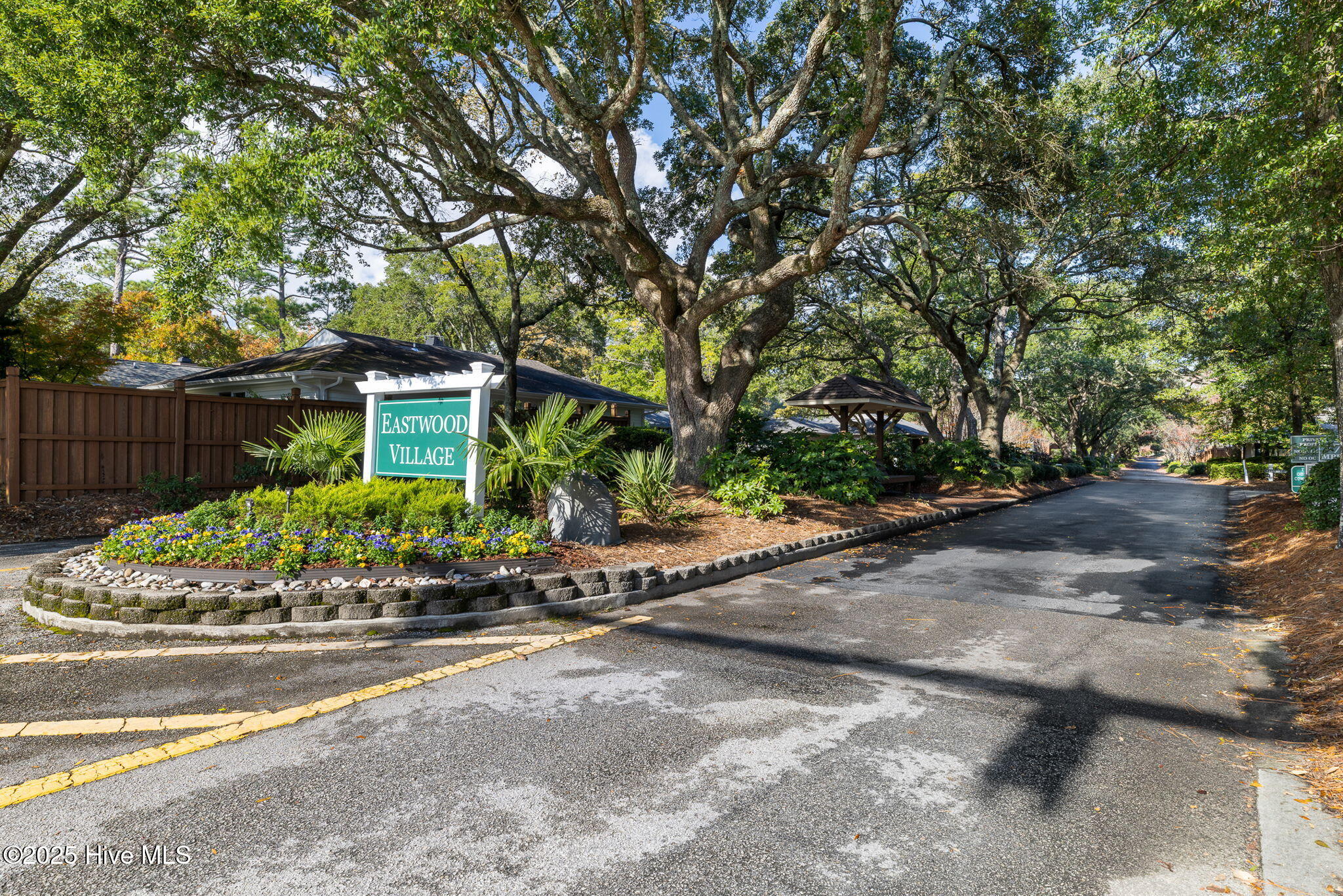 100539672 | Photo 39