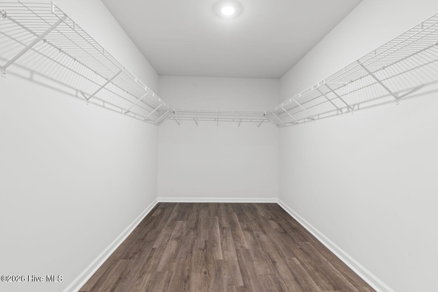 100535209 | Photo 31