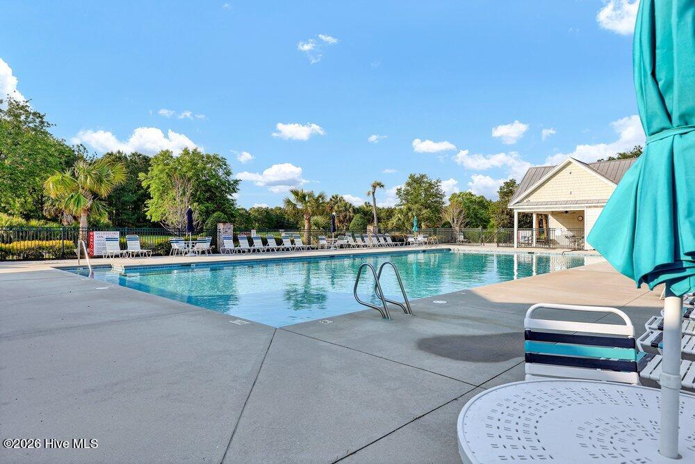 100568146 | Photo 36