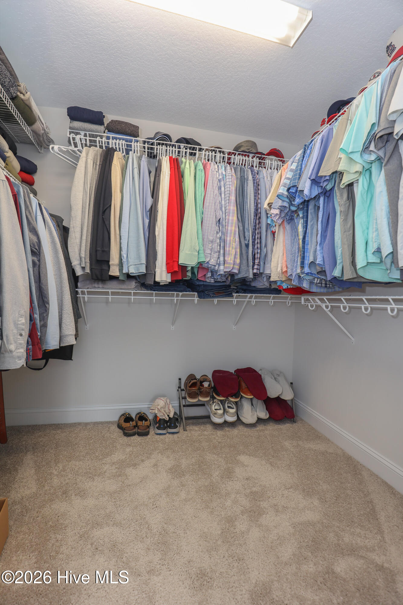 100566791 | Photo 28