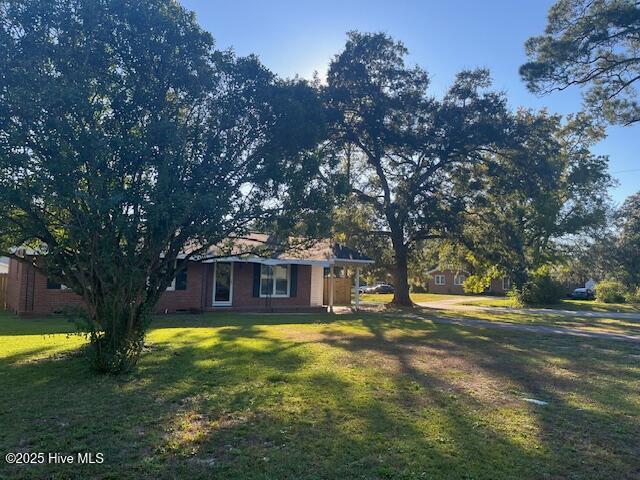 100536383 | Photo 47