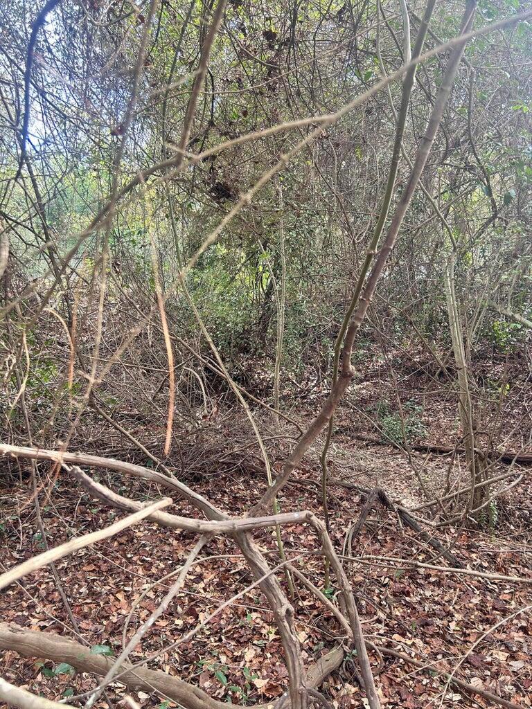 Homes for sale in New Ellenton, SC | 0 Robinson Dr, New Ellenton, SC 29809 | MLS# 551334