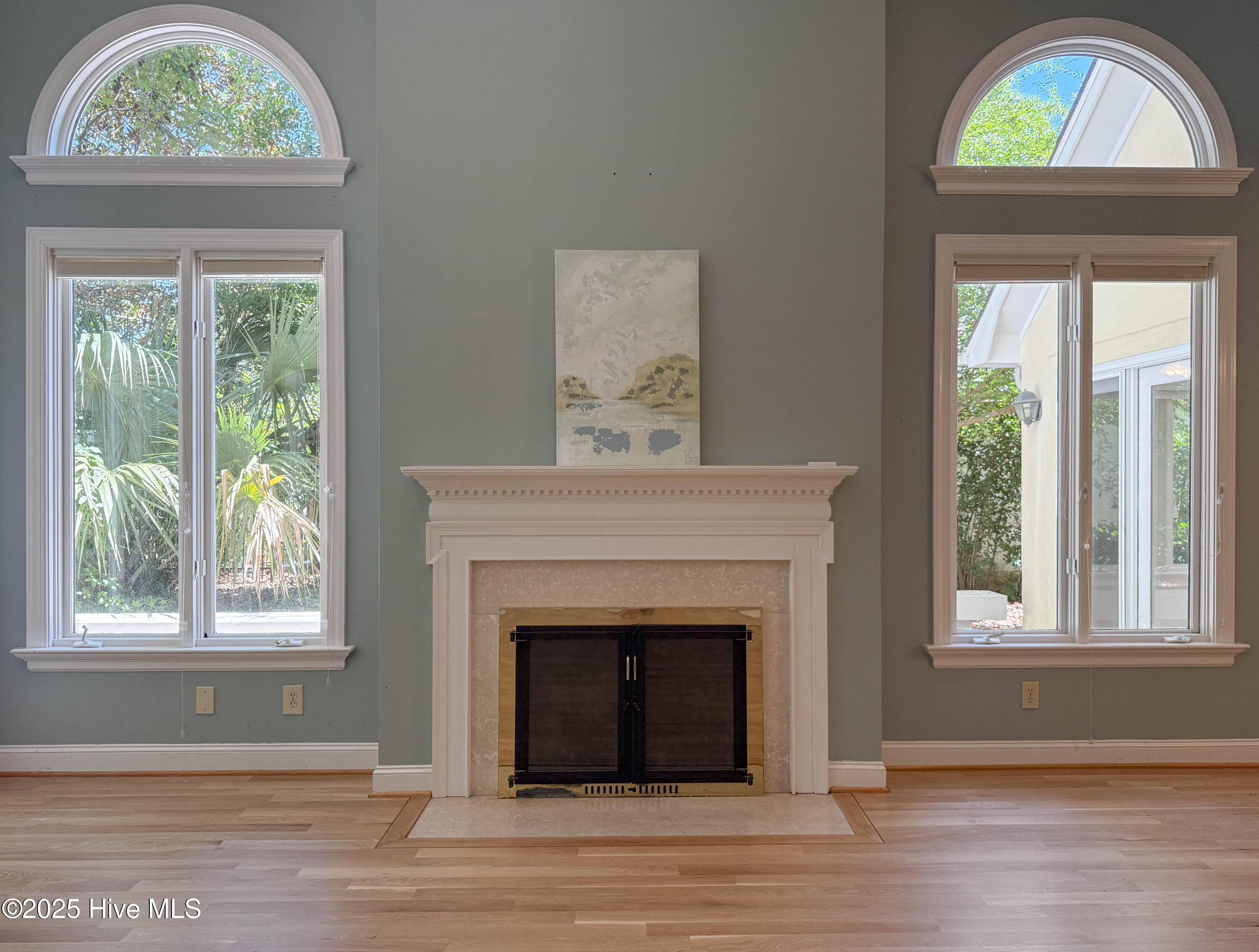 100535071 | Photo 11