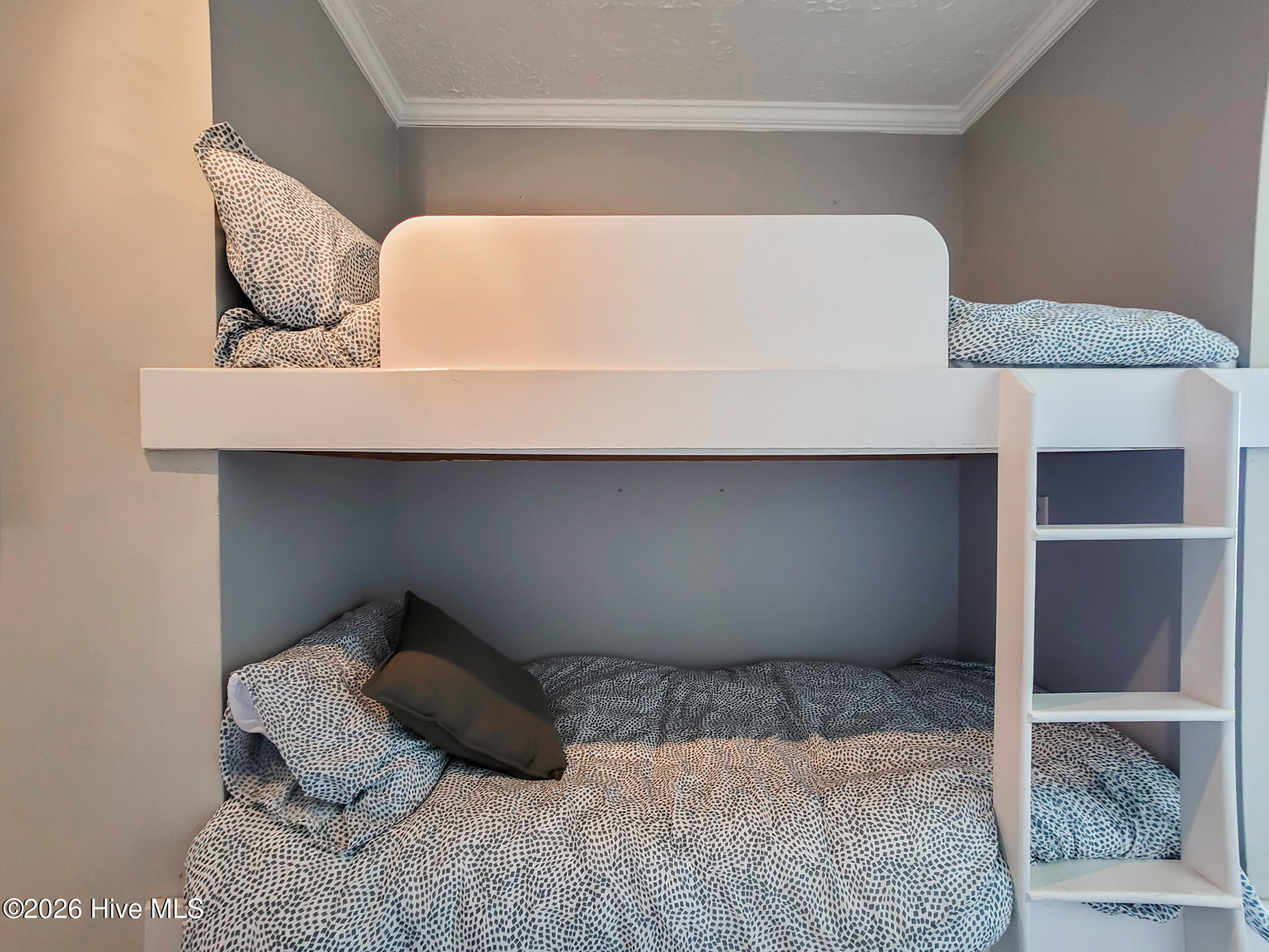 100553156 | Photo 10