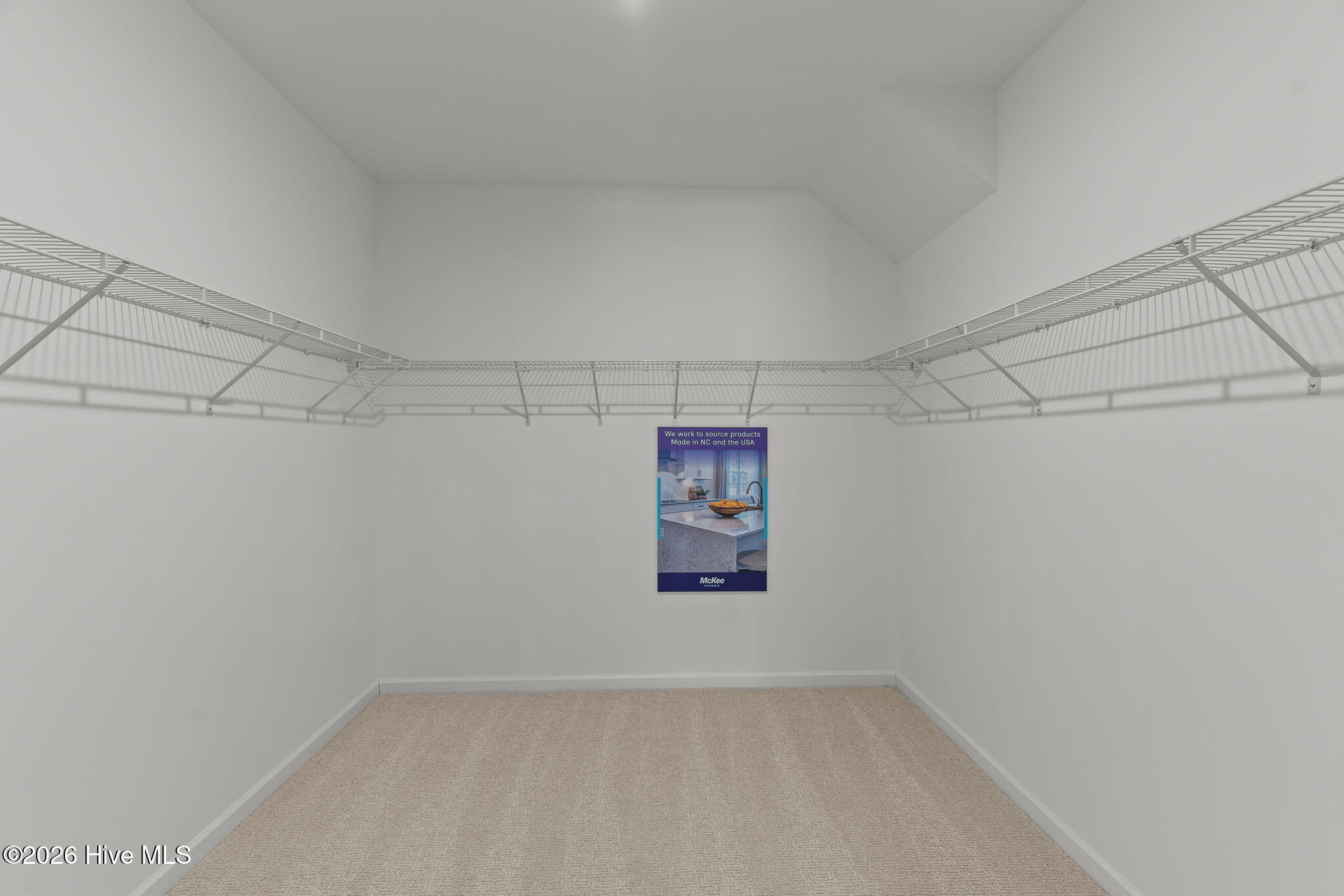 100516667 | Photo 44