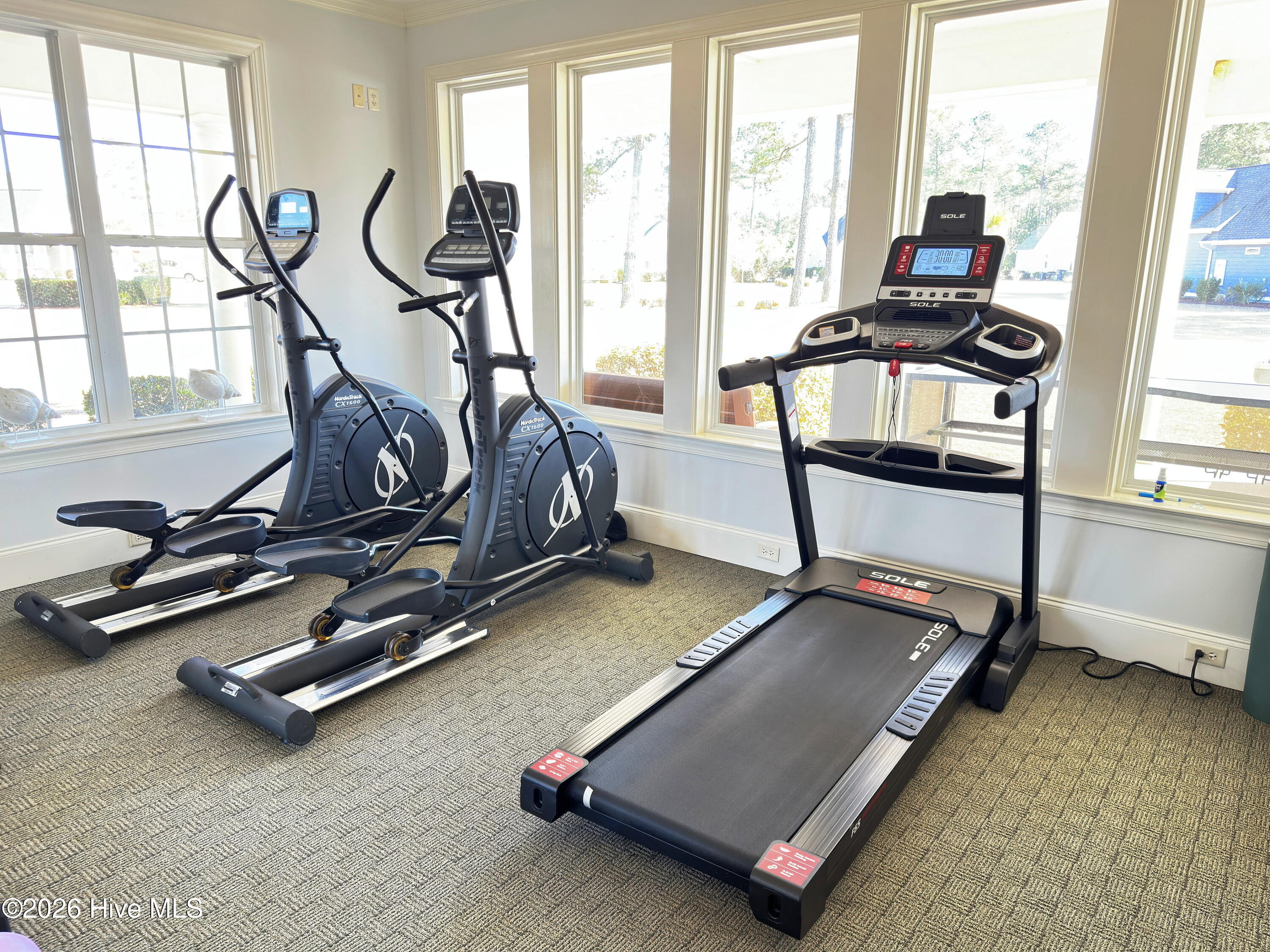 100548790 | Photo 51