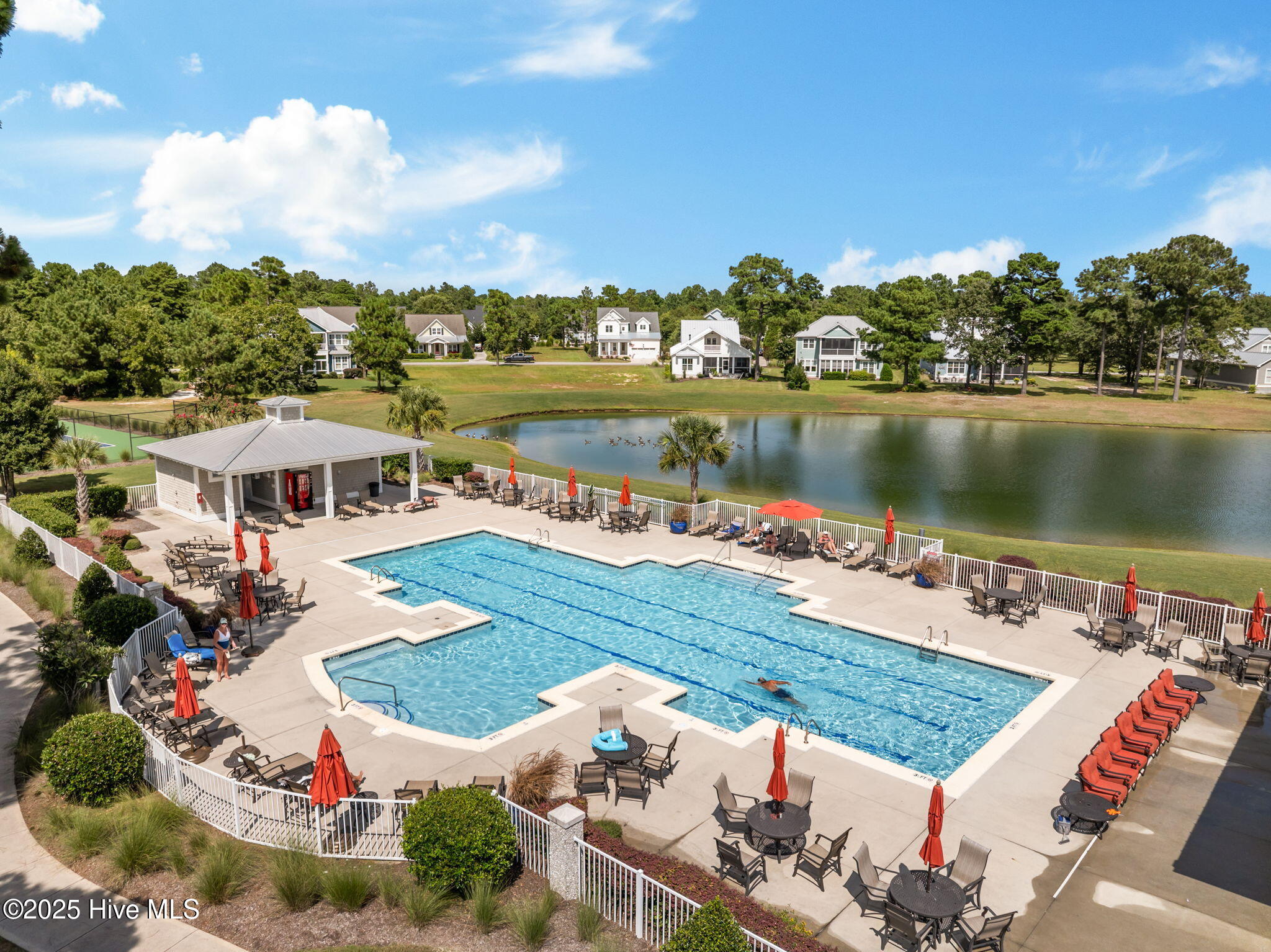 100526969 | Photo 62