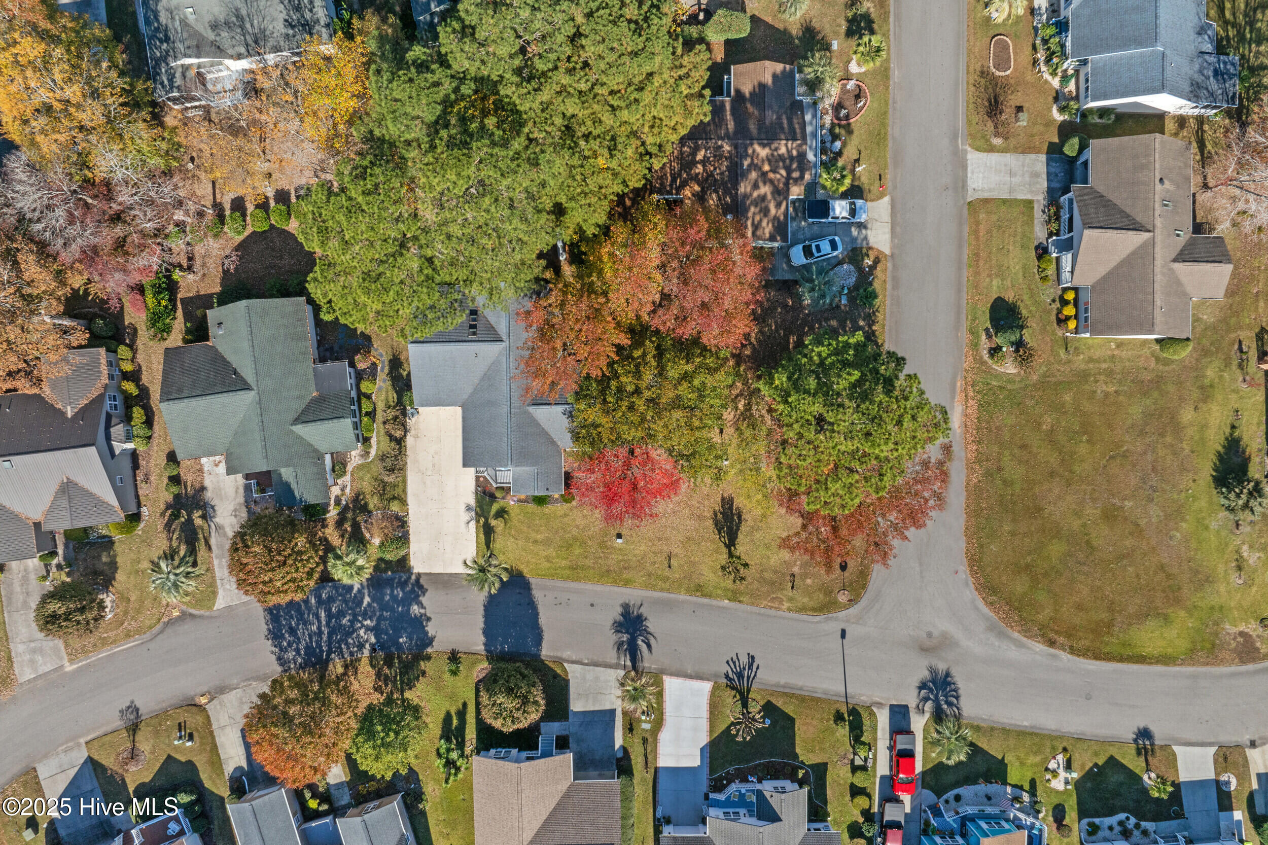 100542117 | Photo 41