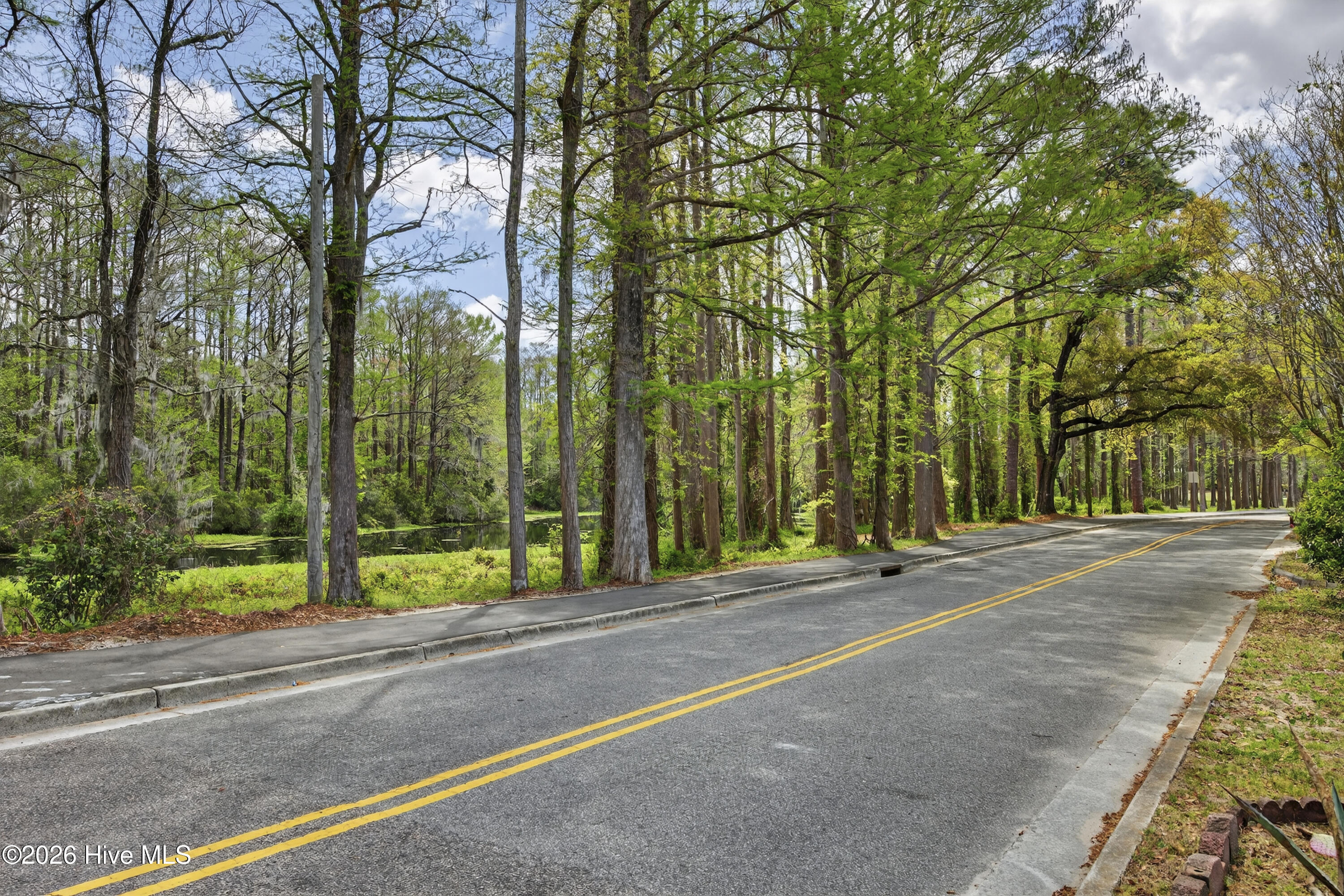 100564526 | Photo 49