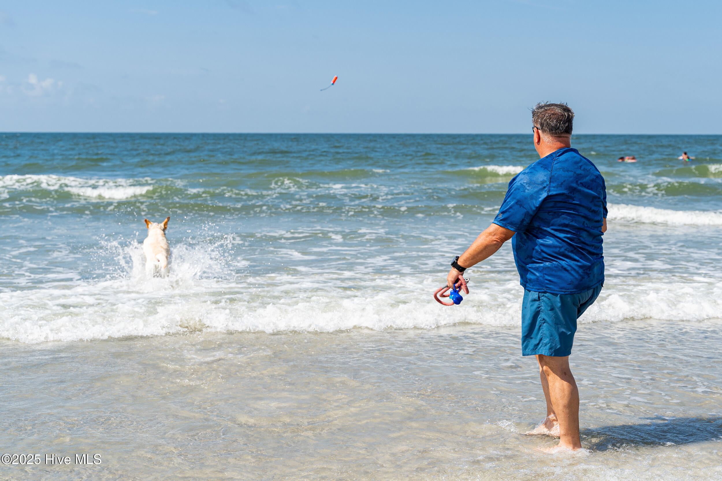 100521768 | Photo 67