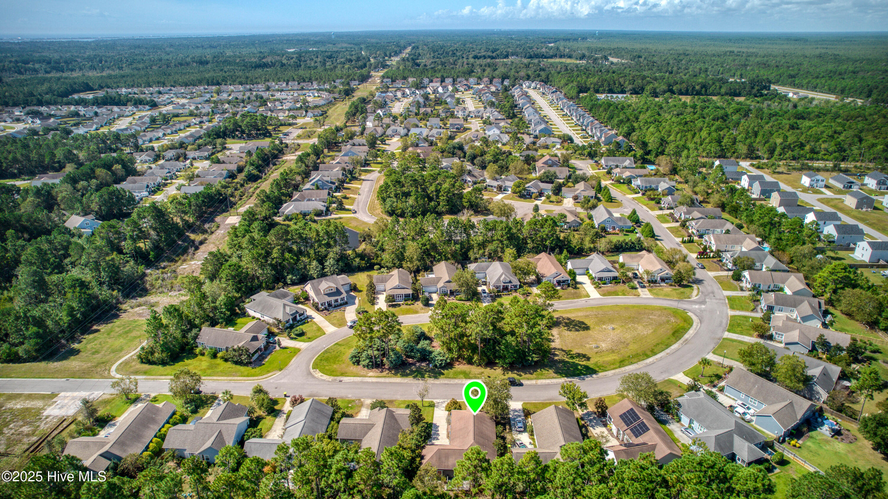 100487602 | Photo 38