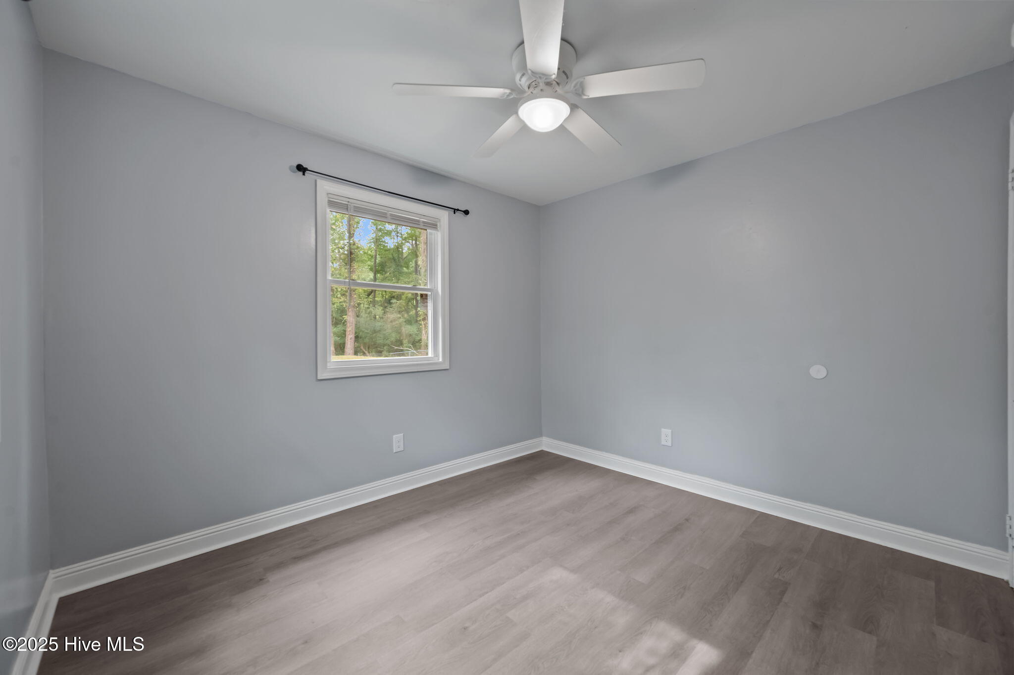 100536002 | Photo 26