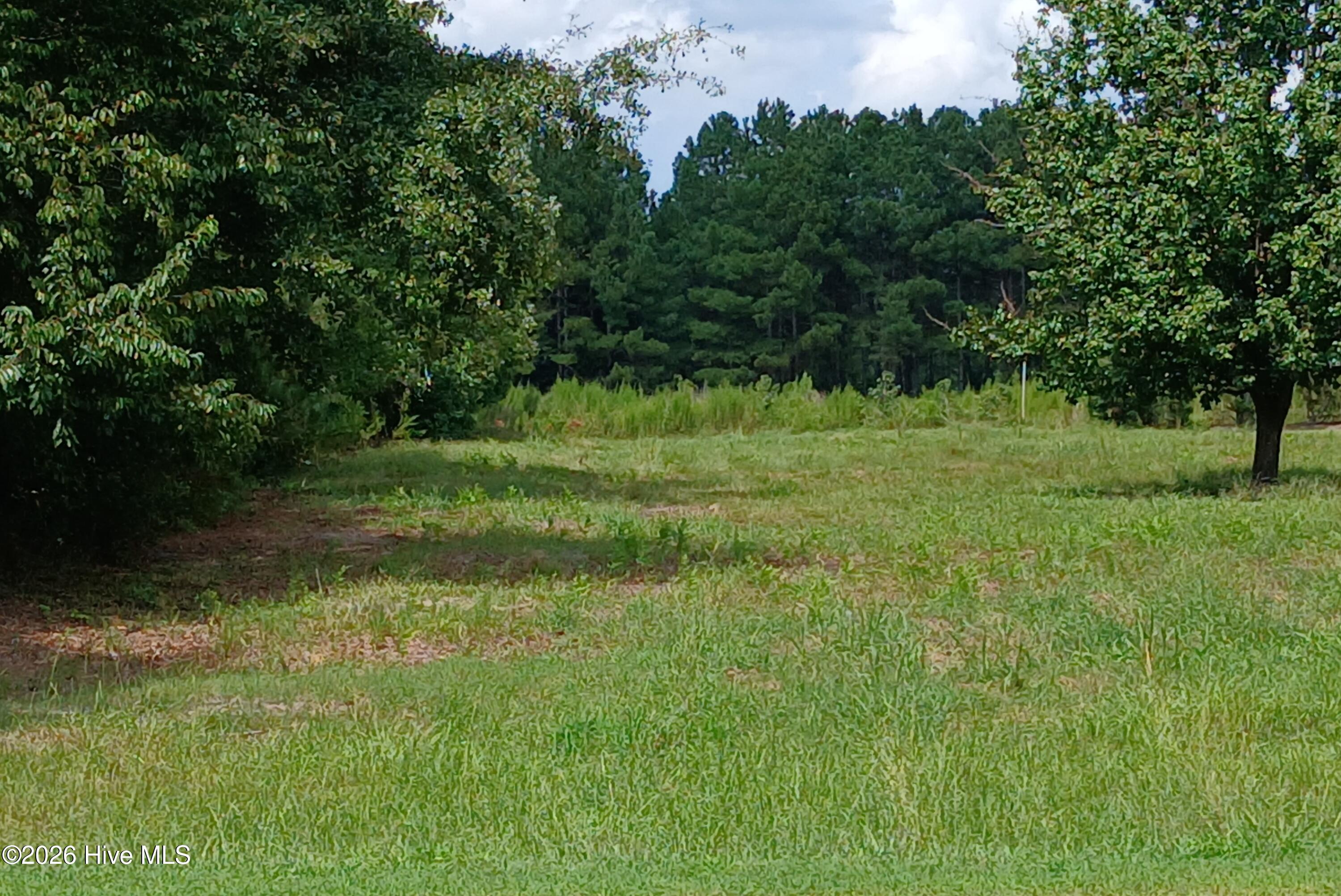 Exterior photo of On 24 N/Si On 24, Warsaw, NC 28398. MLS: 100599450