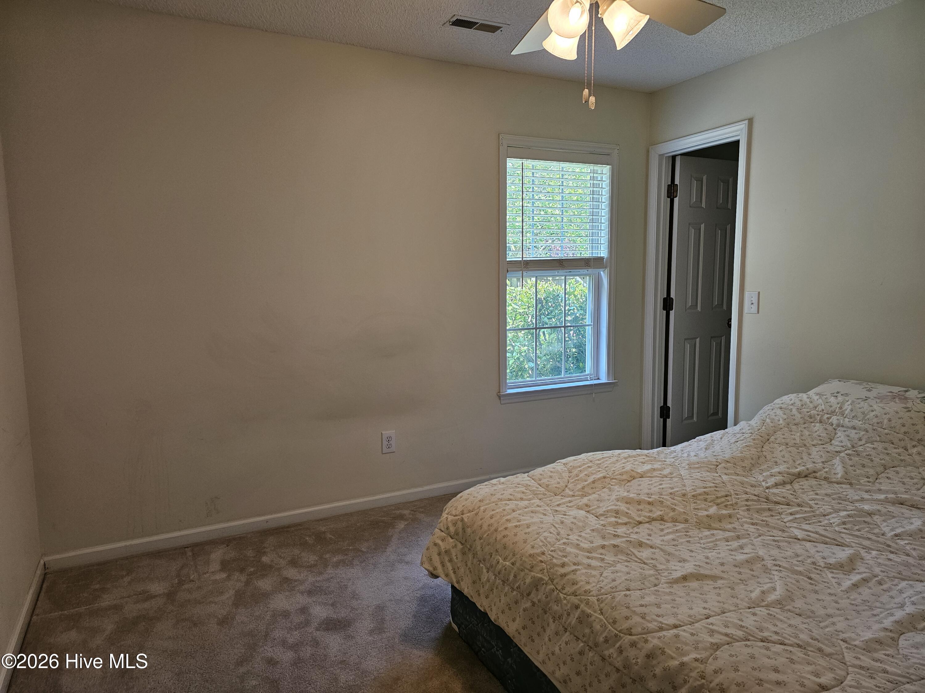 100566879 | Photo 13