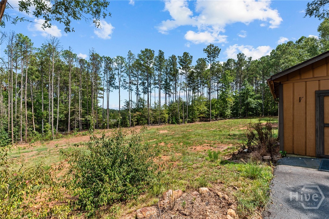 Back Acreage
