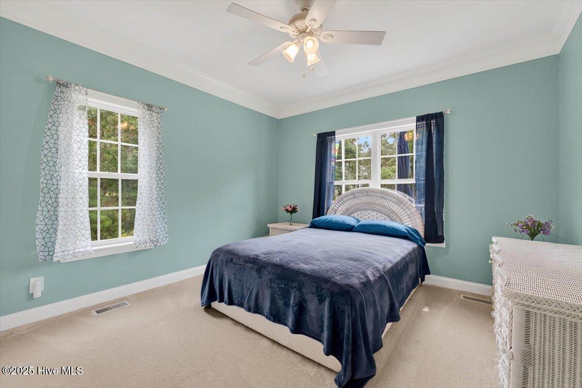 100530504 | Photo 37