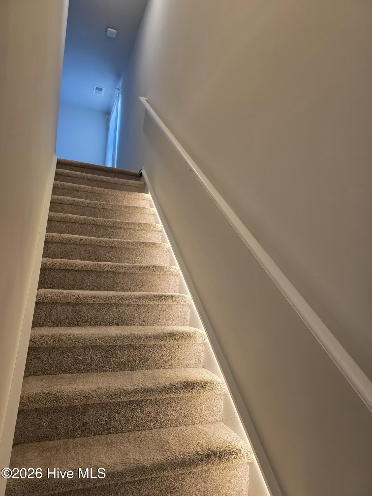 100563359 | Photo 18