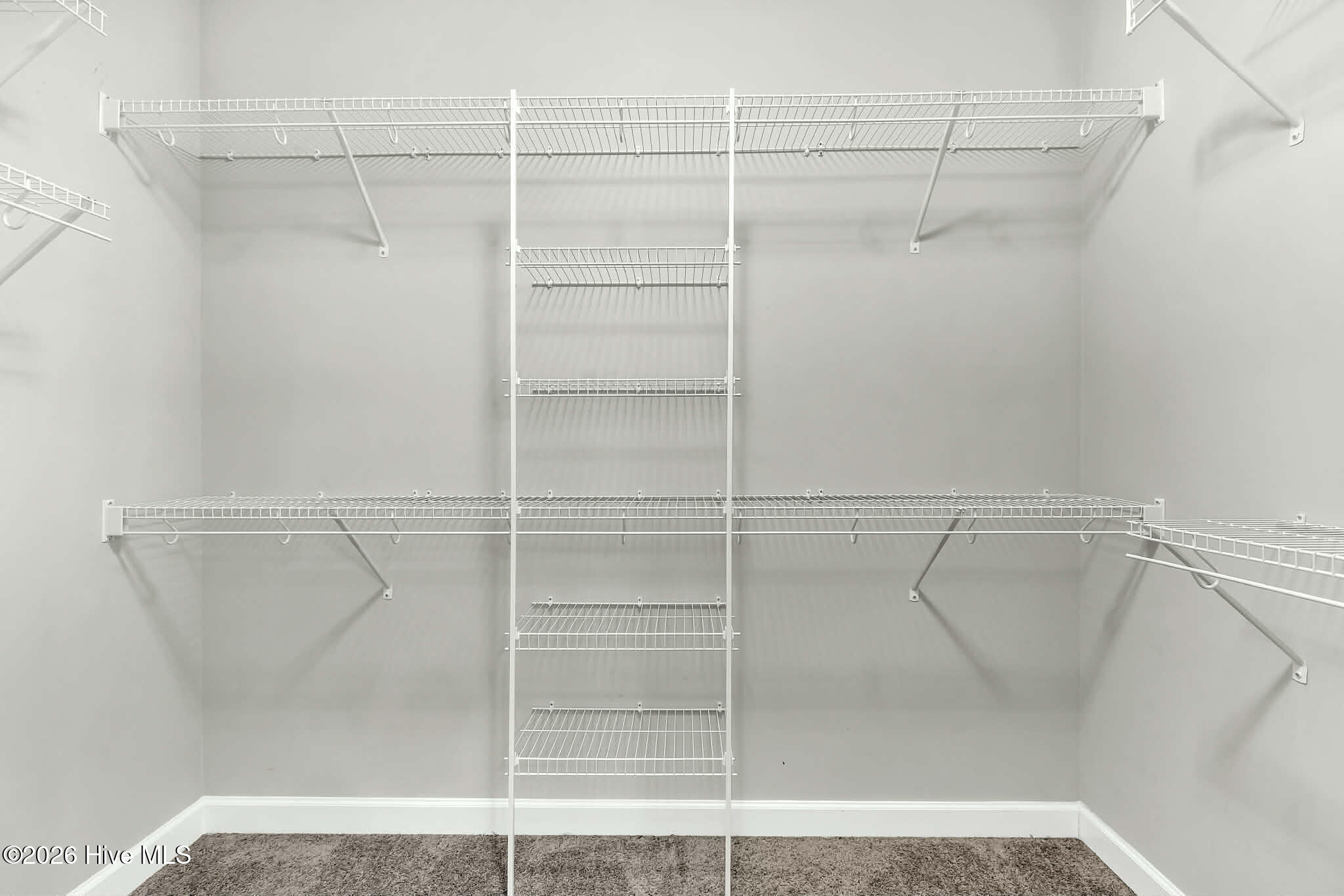 100561809 | Photo 18