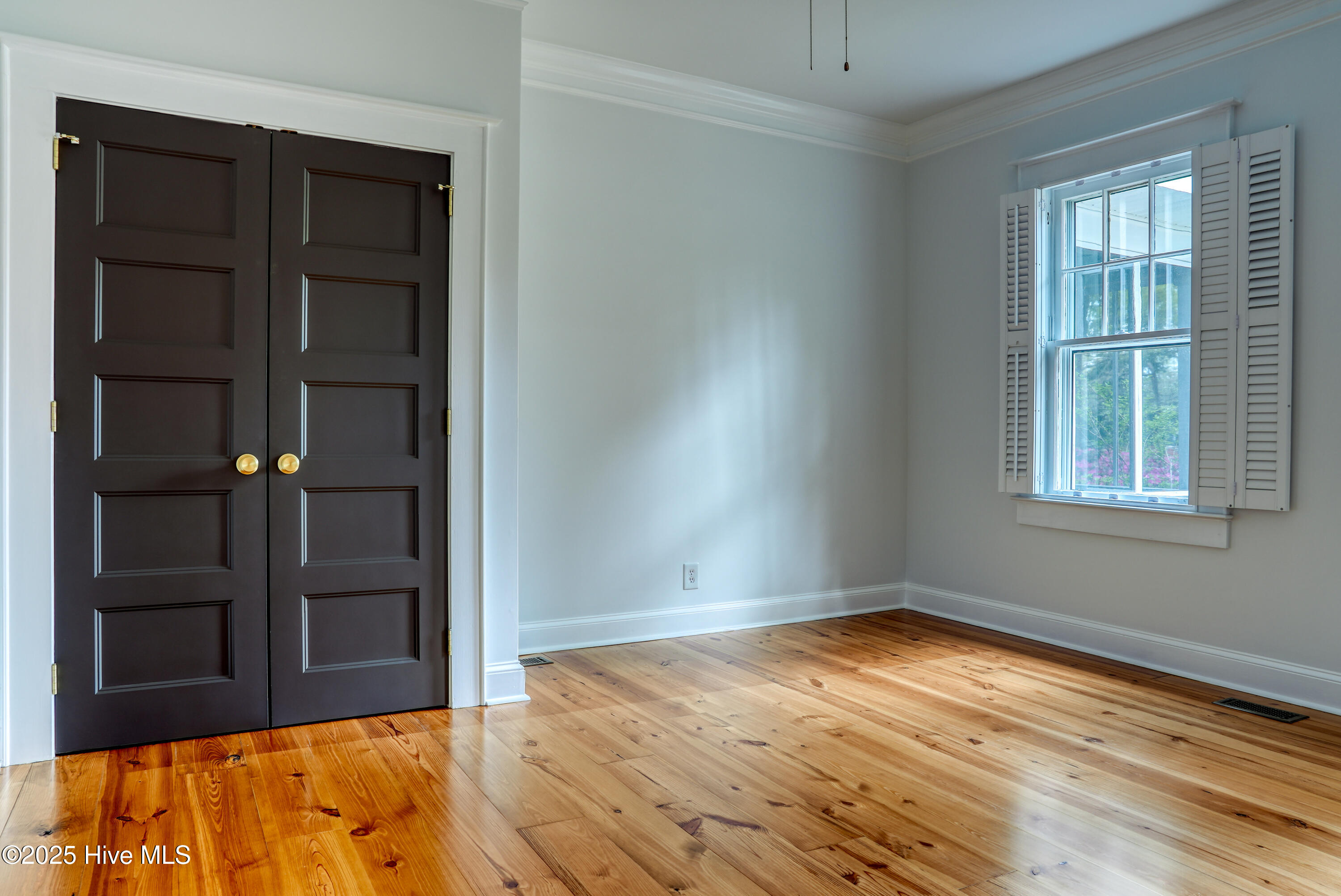 100559496 | Photo 24