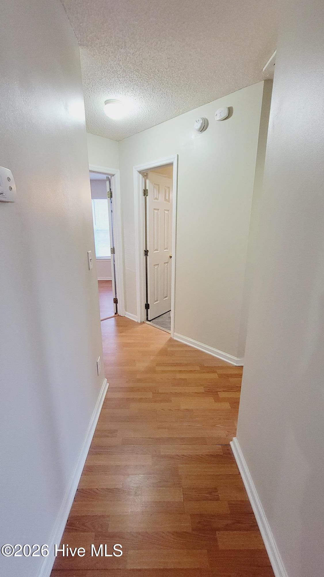 100548735 | Photo 10