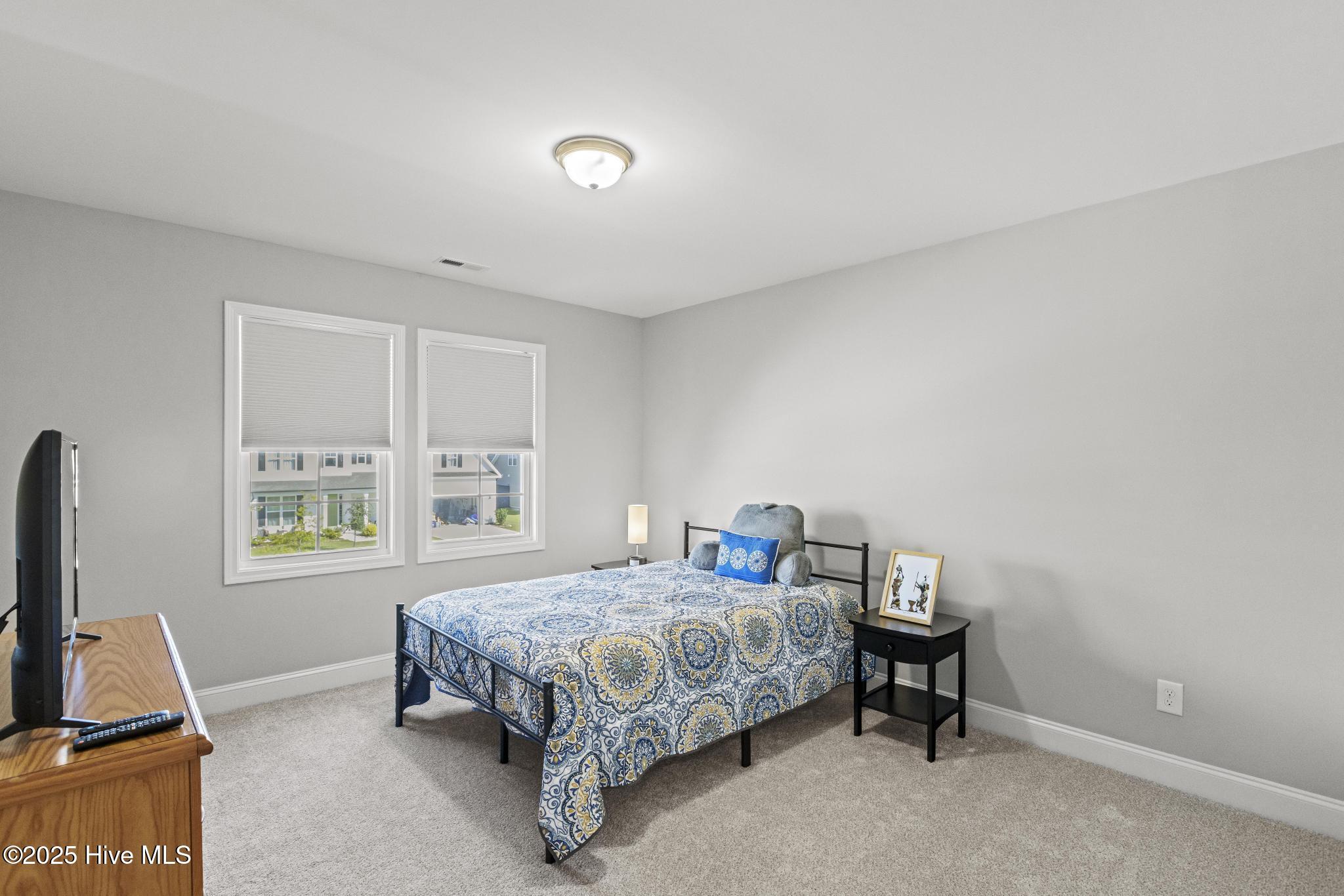 100528220 | Photo 31