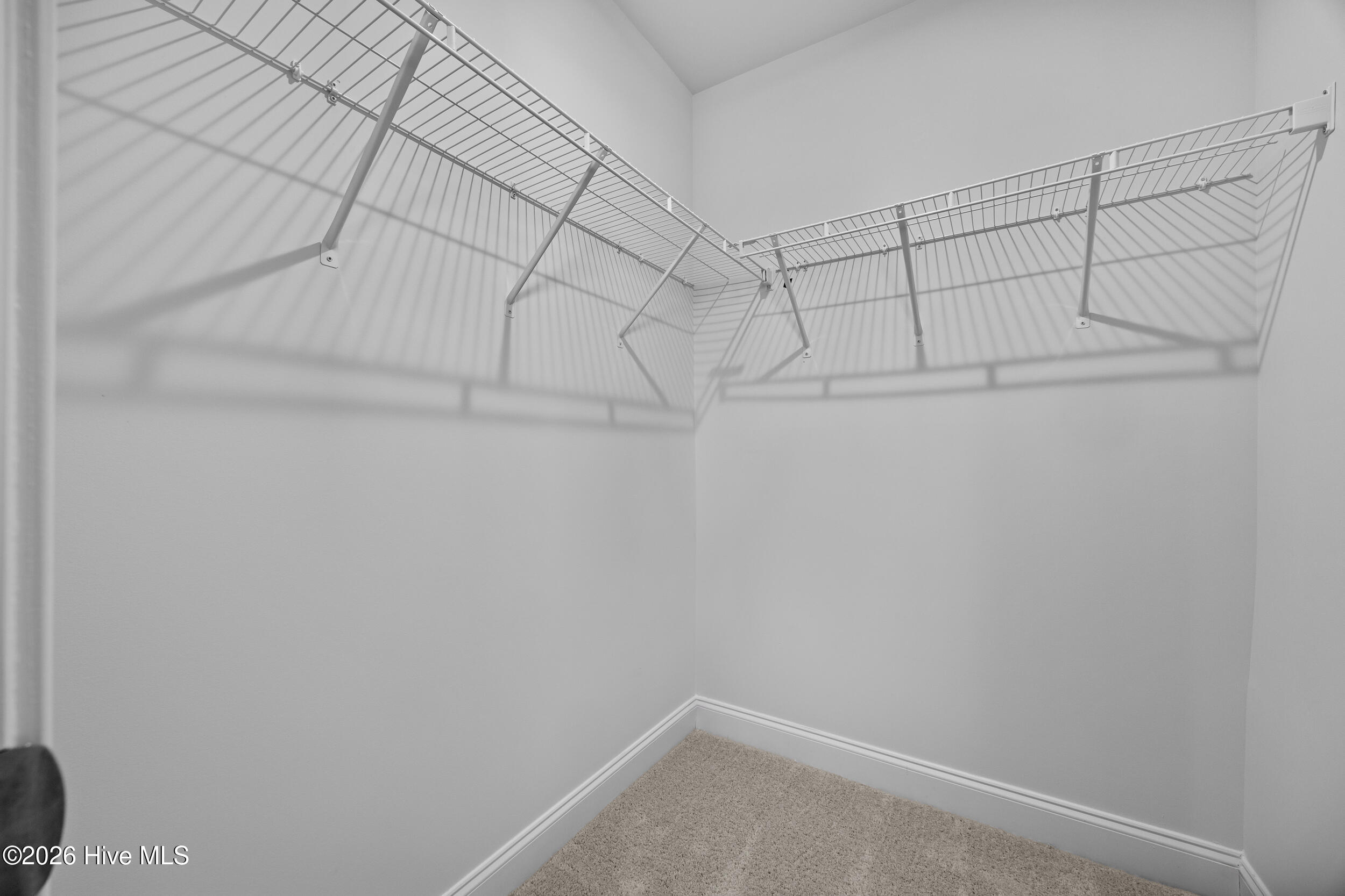 100527051 | Photo 46