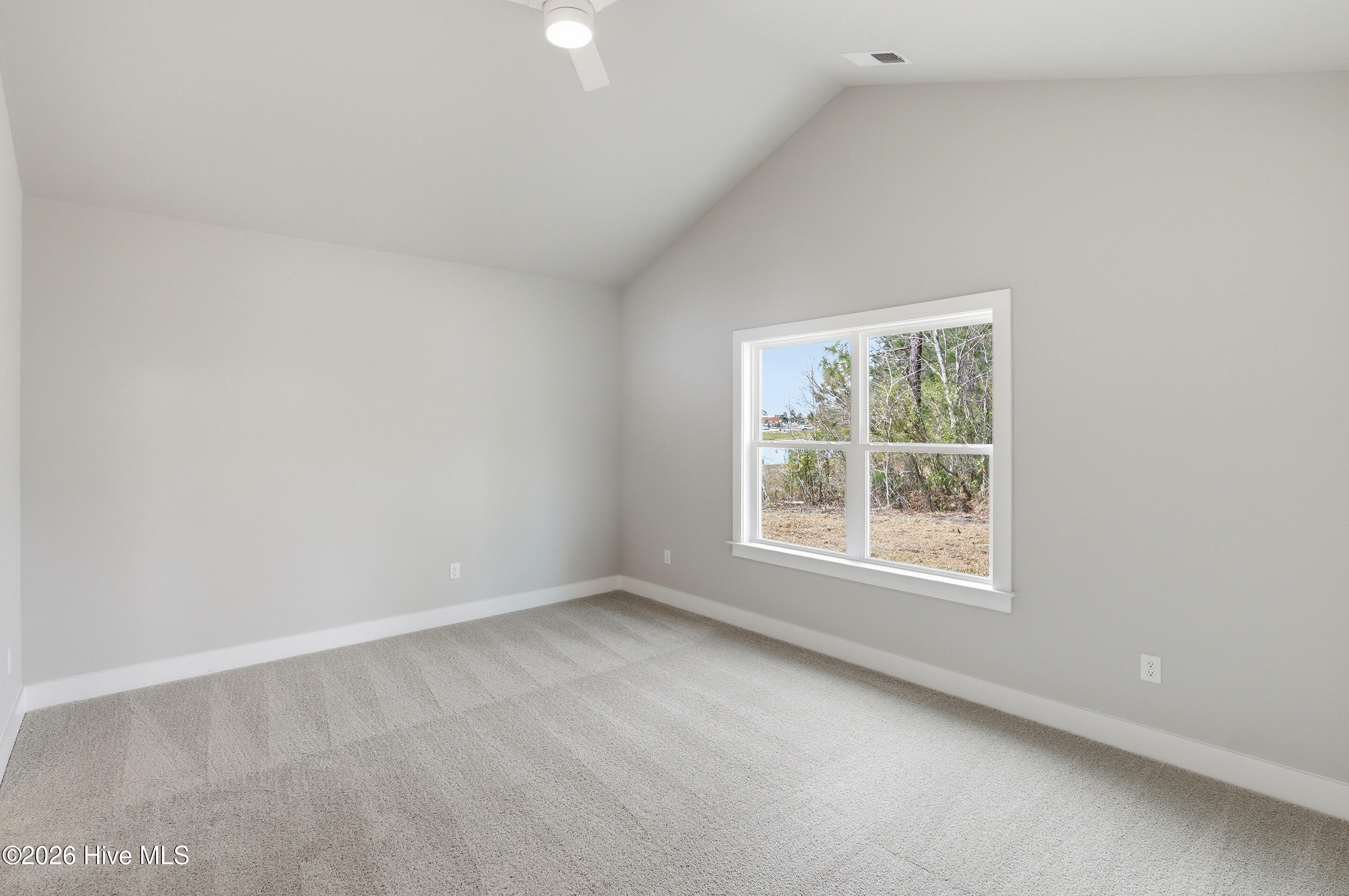 100547576 | Photo 11