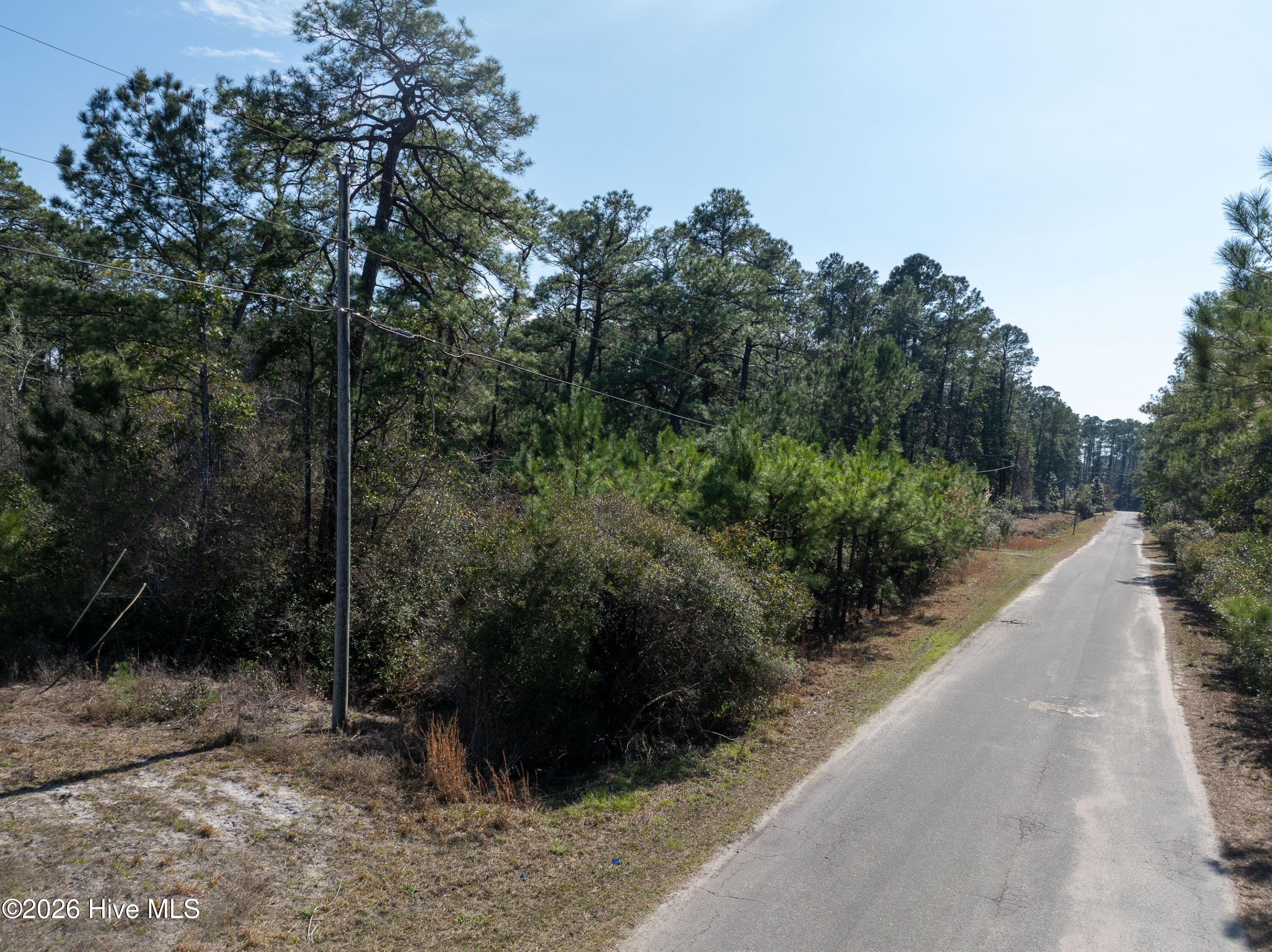 100559861 | Photo 13