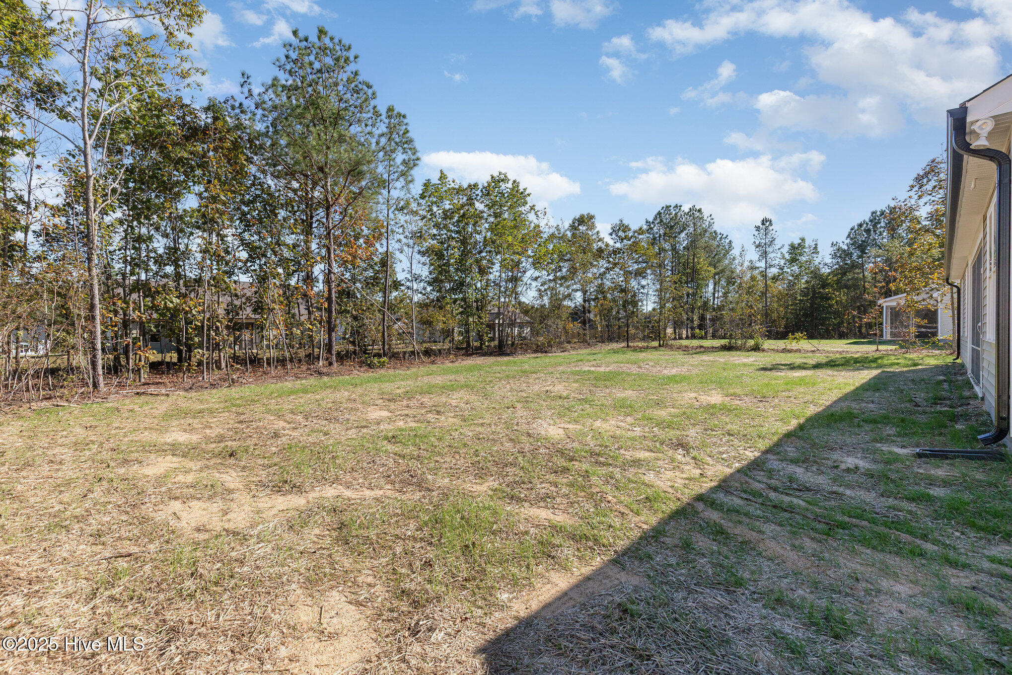 110 Prosecco Drive, Princeton, NC, 27569