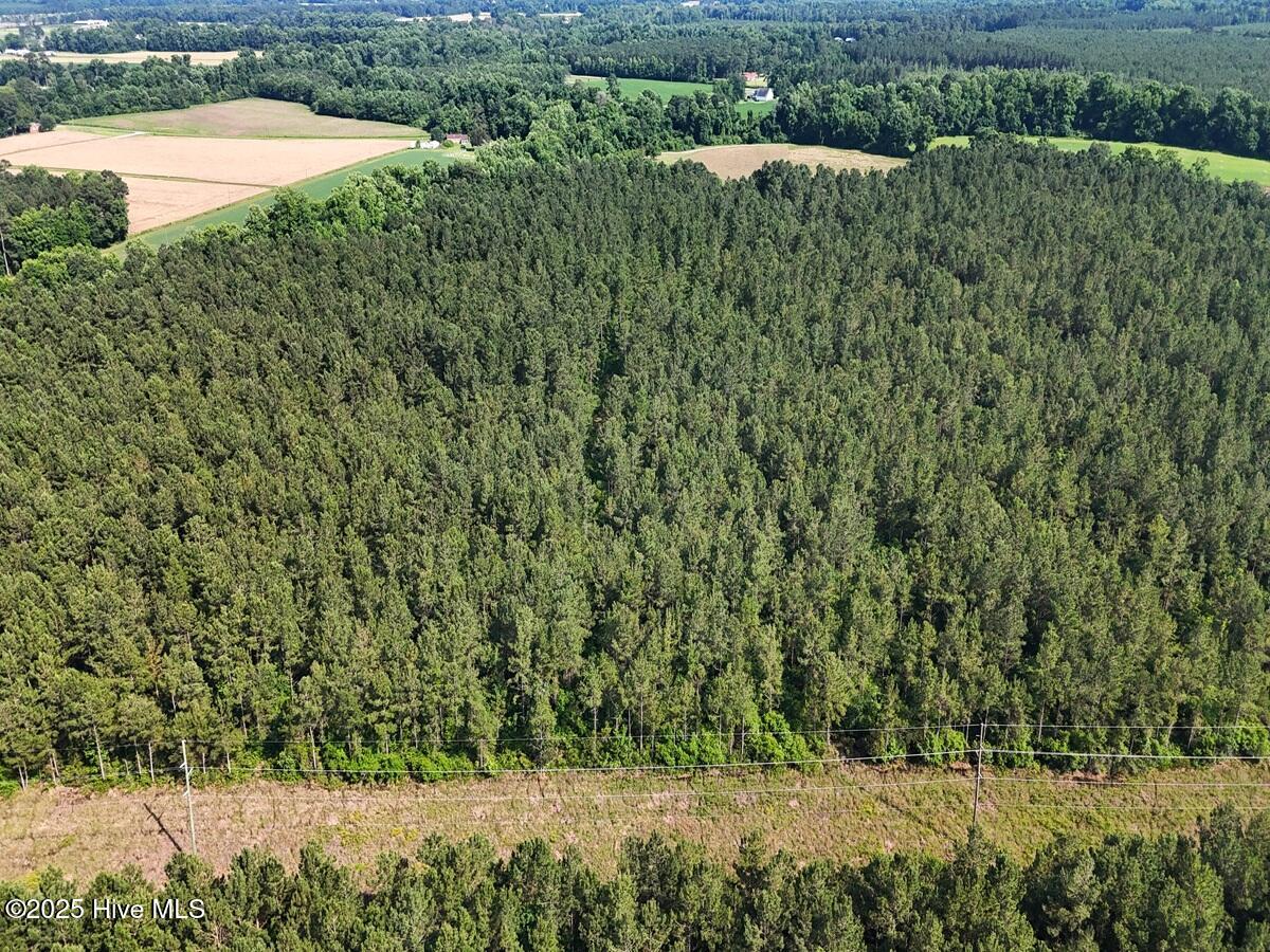 100513588 | Photo 37