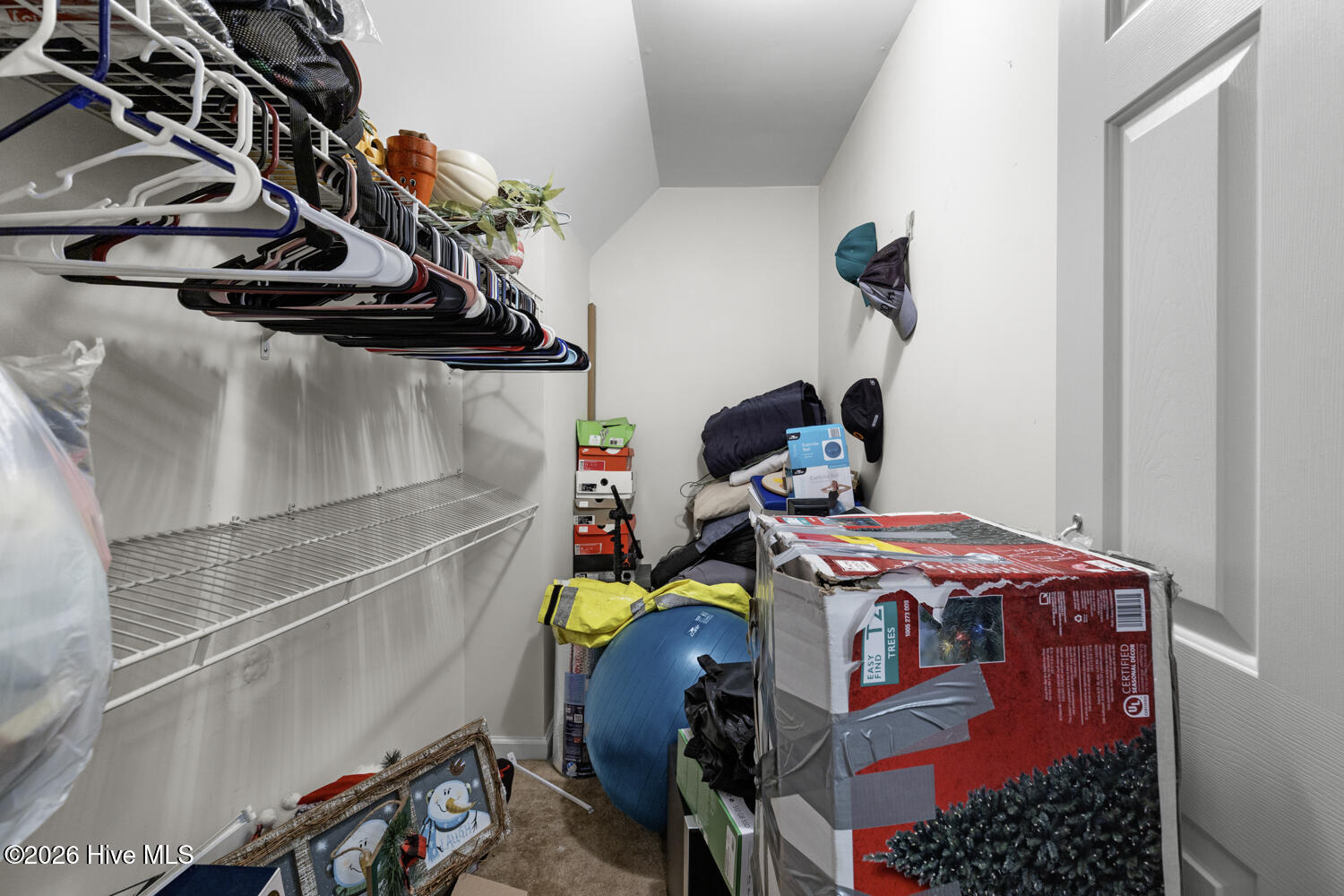 100548901 | Photo 25