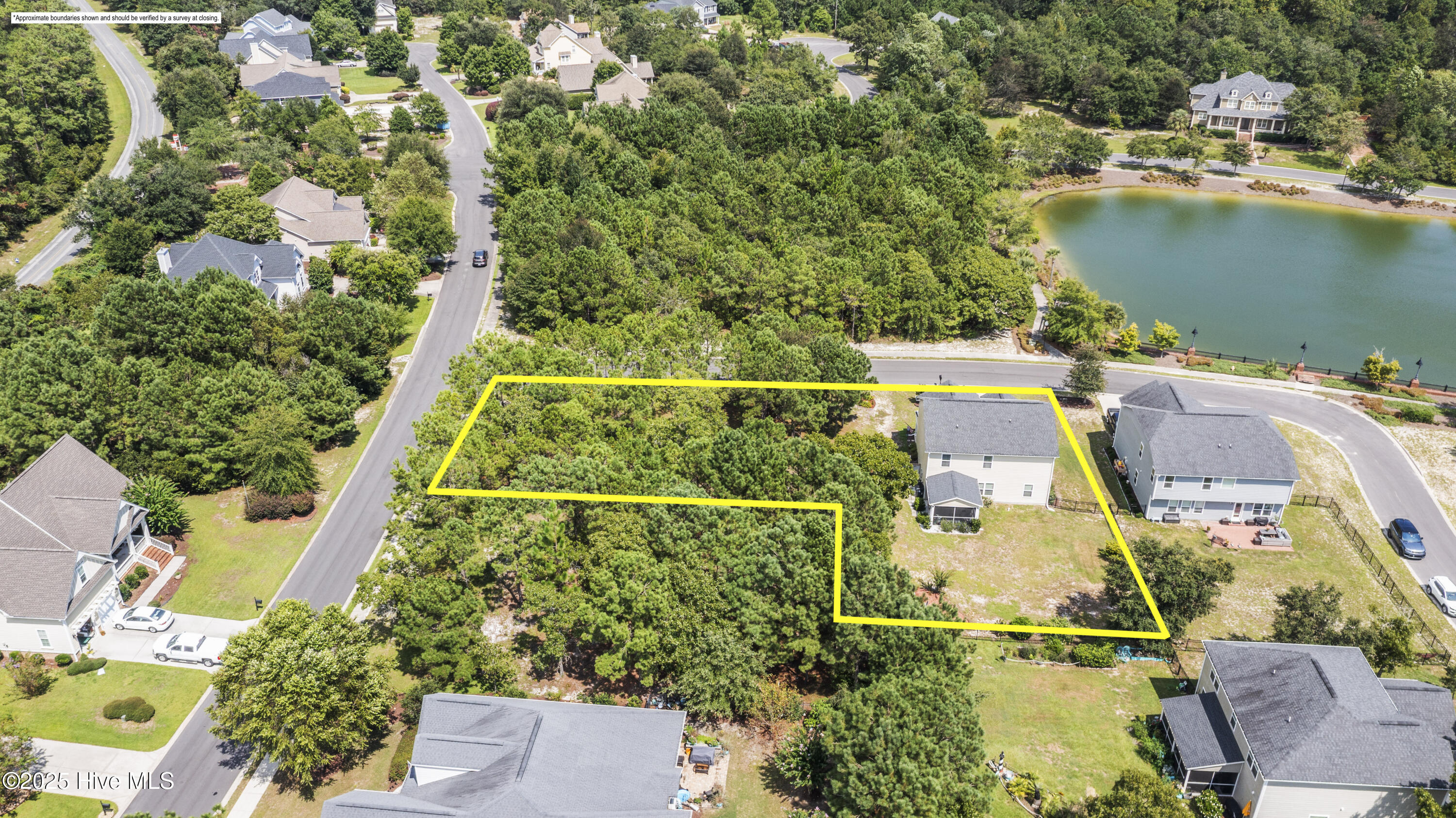 100527651 | Photo 45