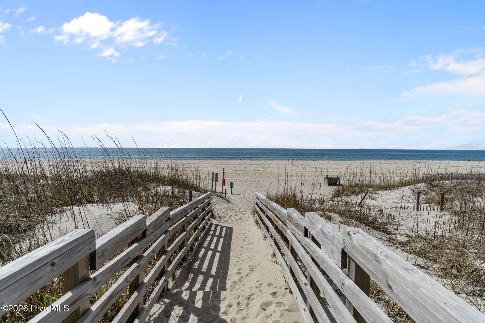 100558305 | Photo 46