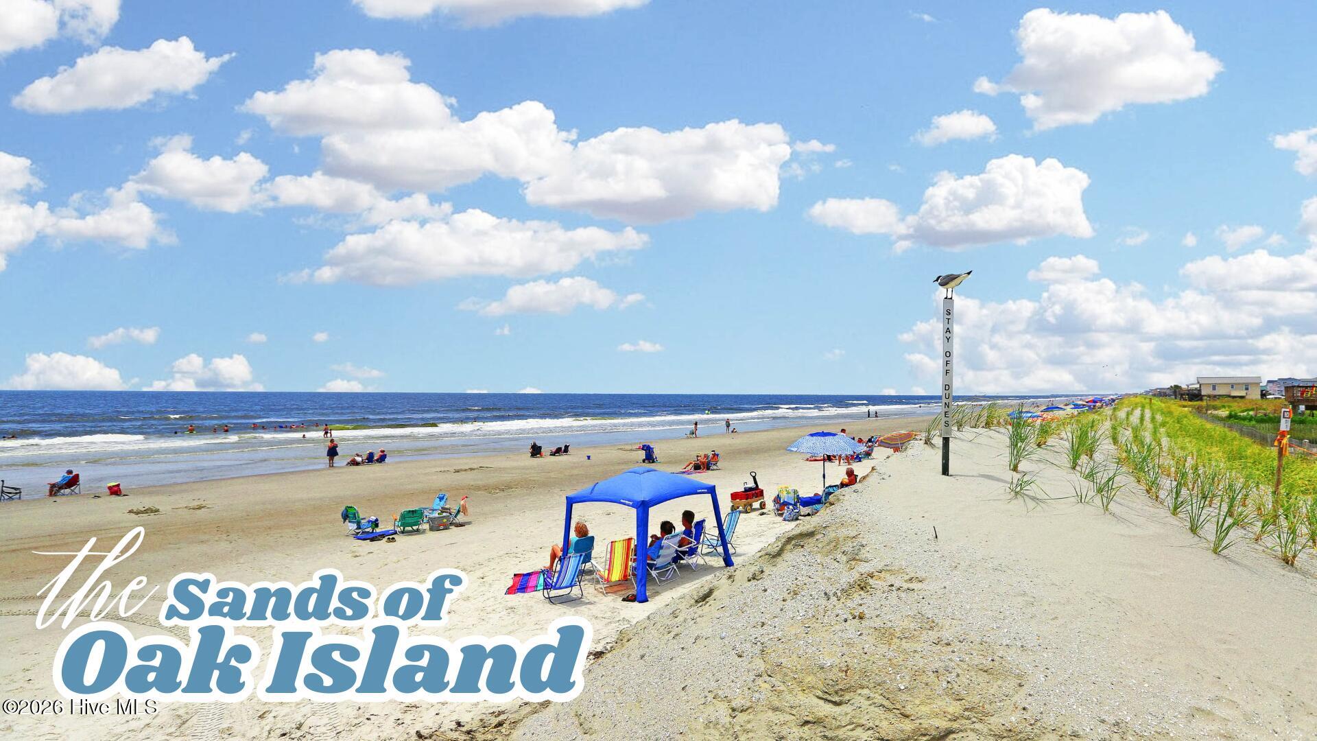 100547384 | Photo 47