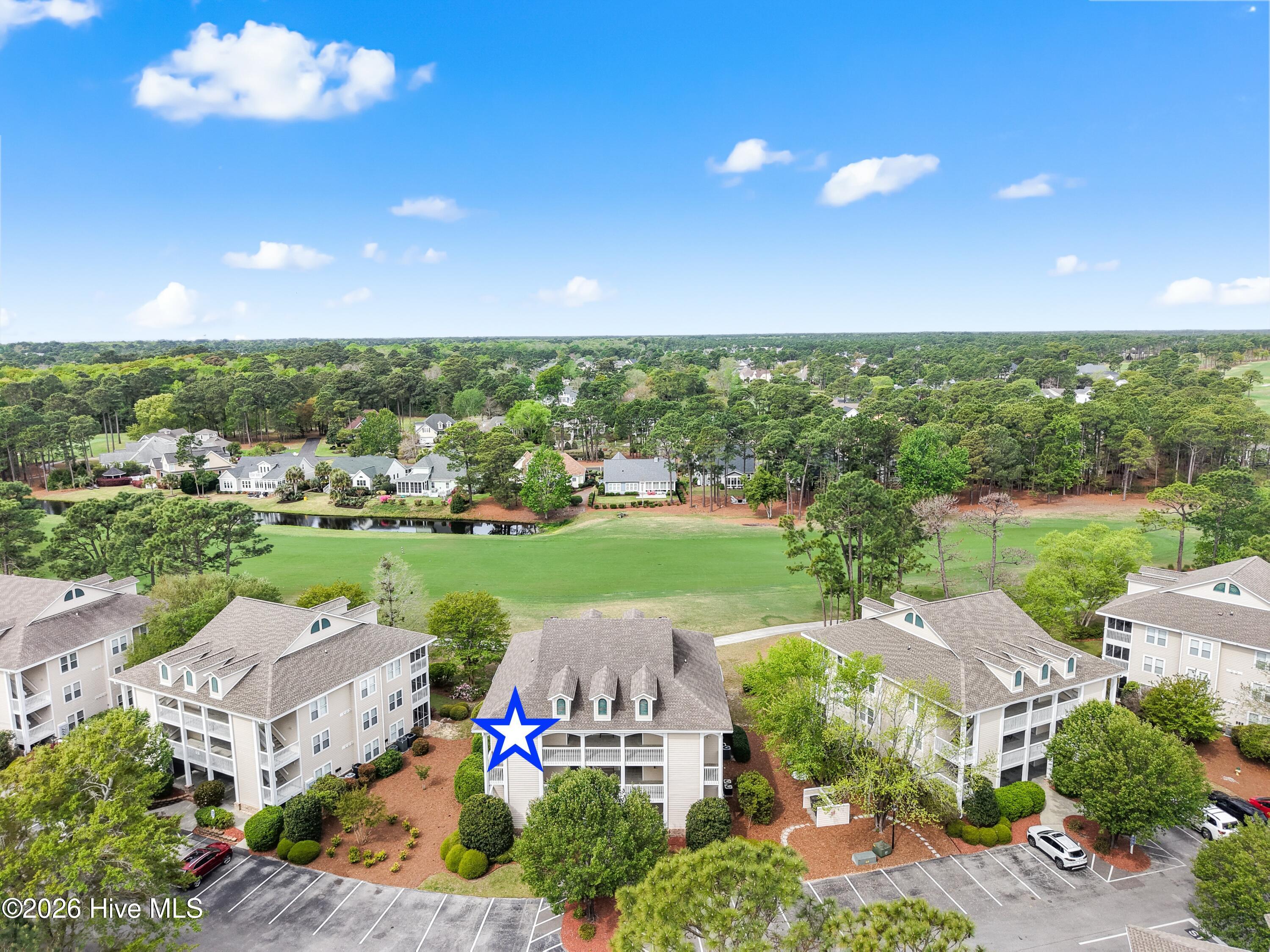 100565554 | Photo 29