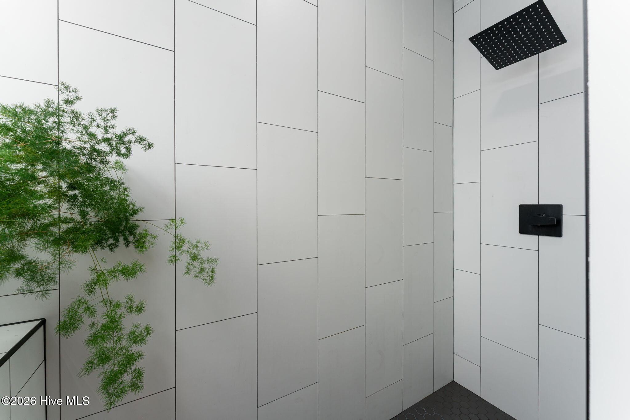 100564591 | Photo 18