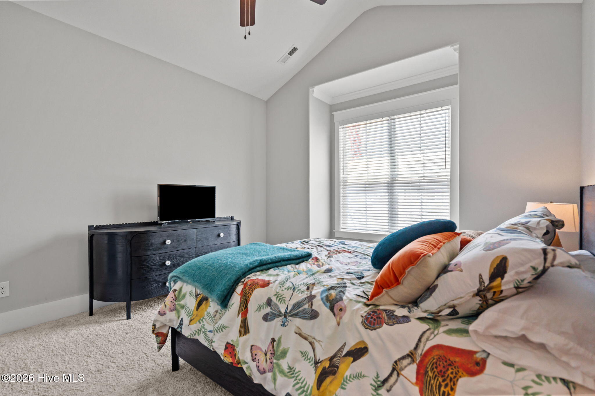 100567182 | Photo 23