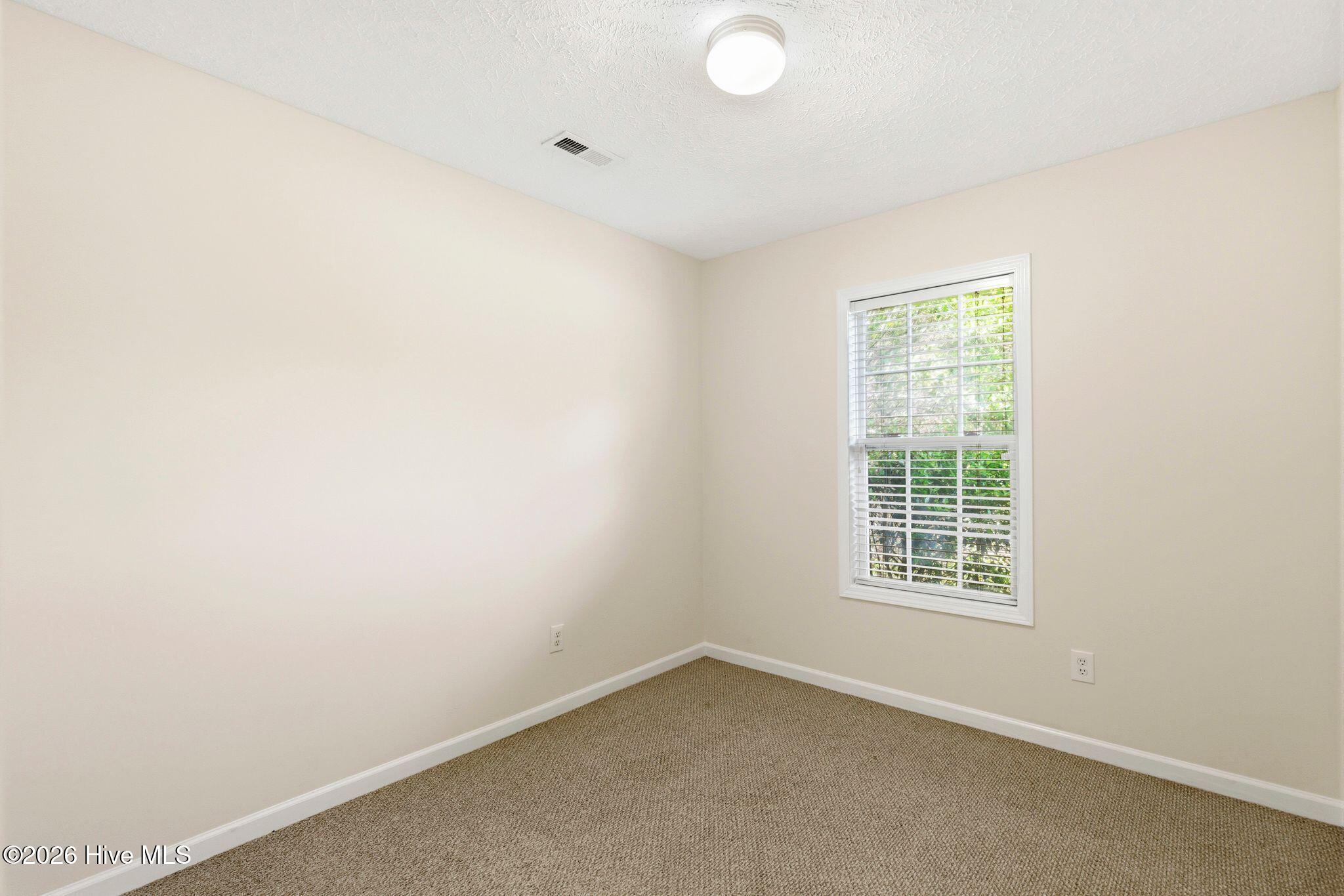 100567246 | Photo 16